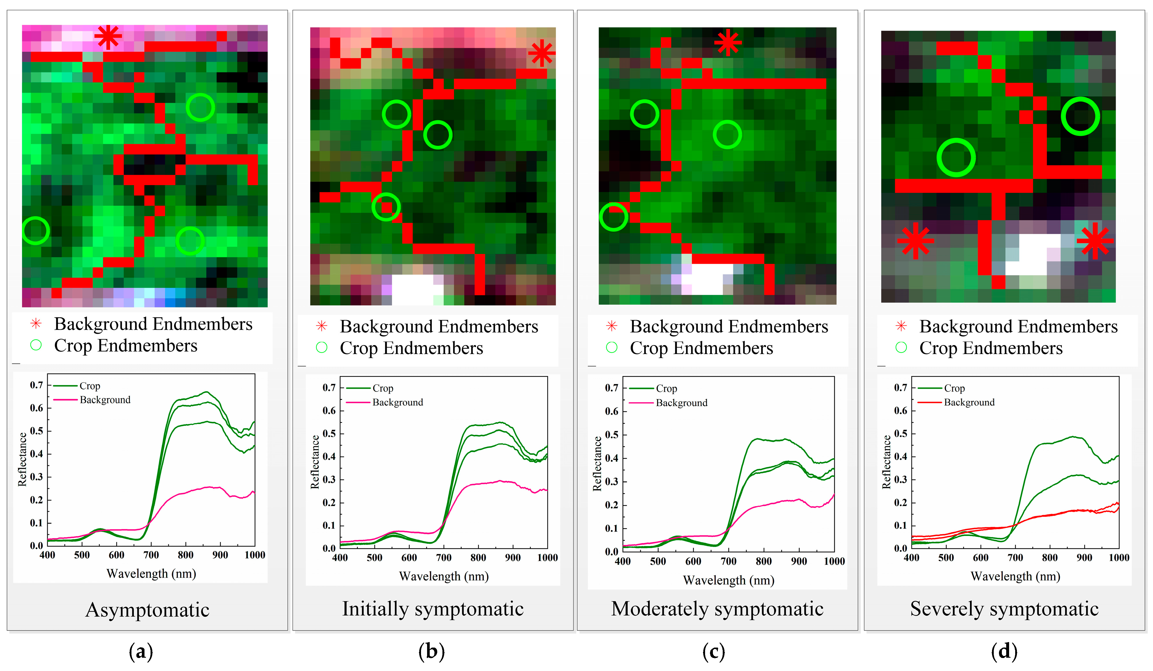 Agriculture 15 00597 g006