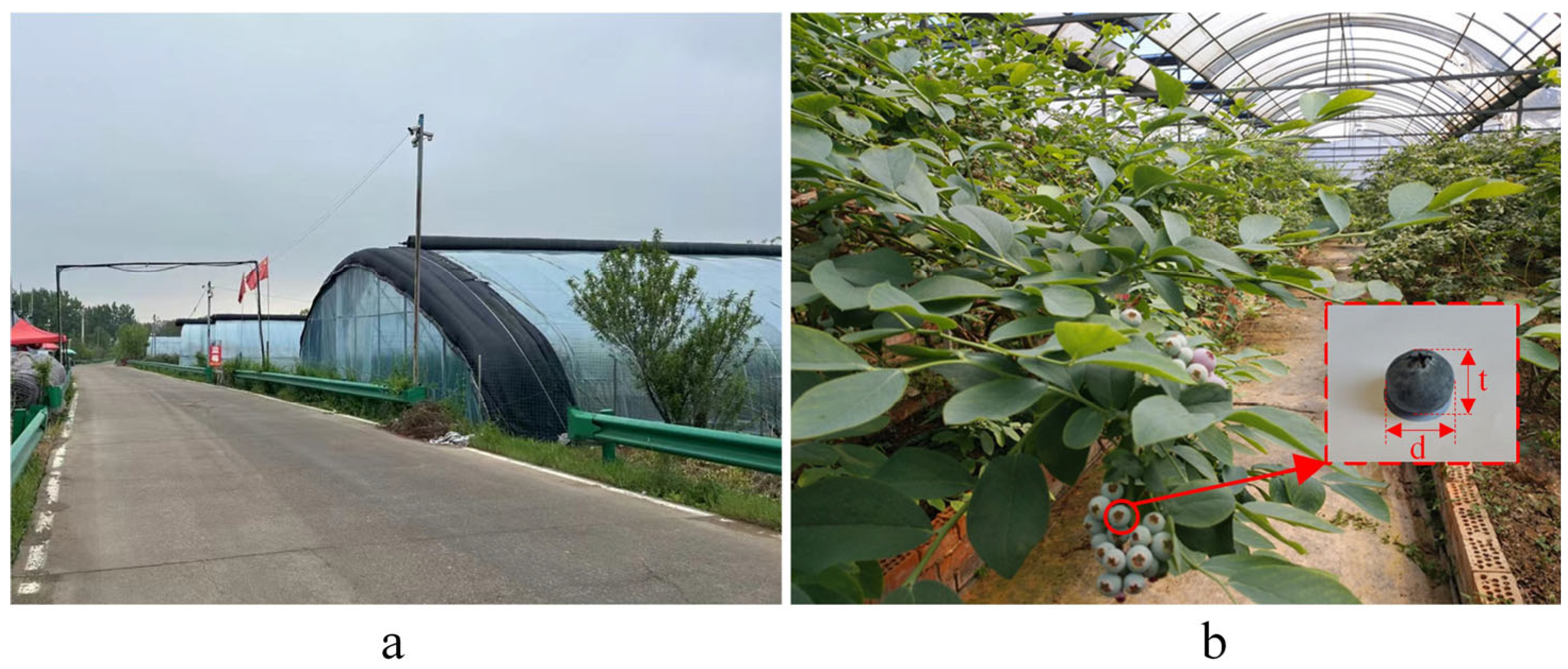 Agriculture 15 00603 g002