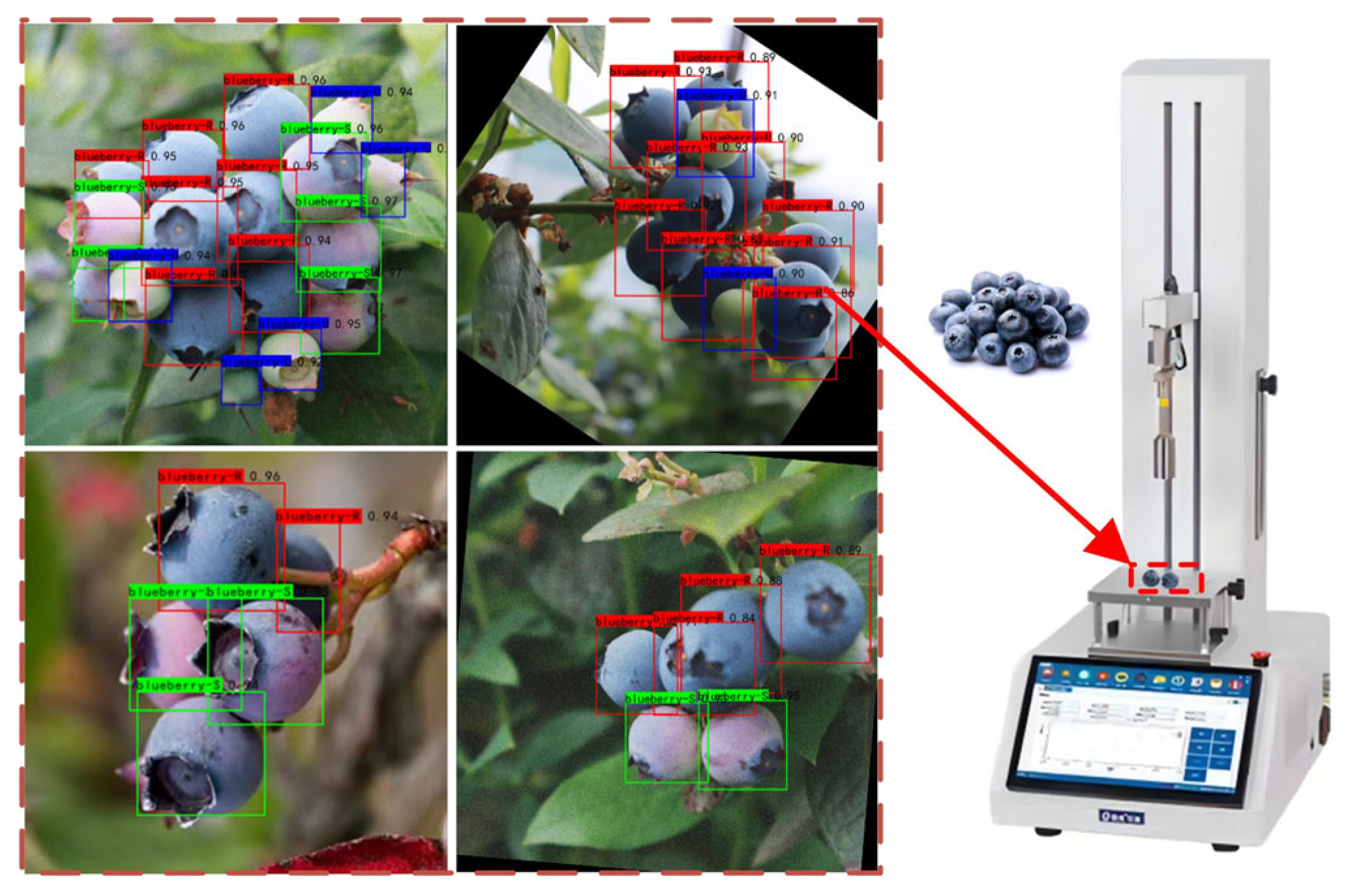 Agriculture 15 00603 g007