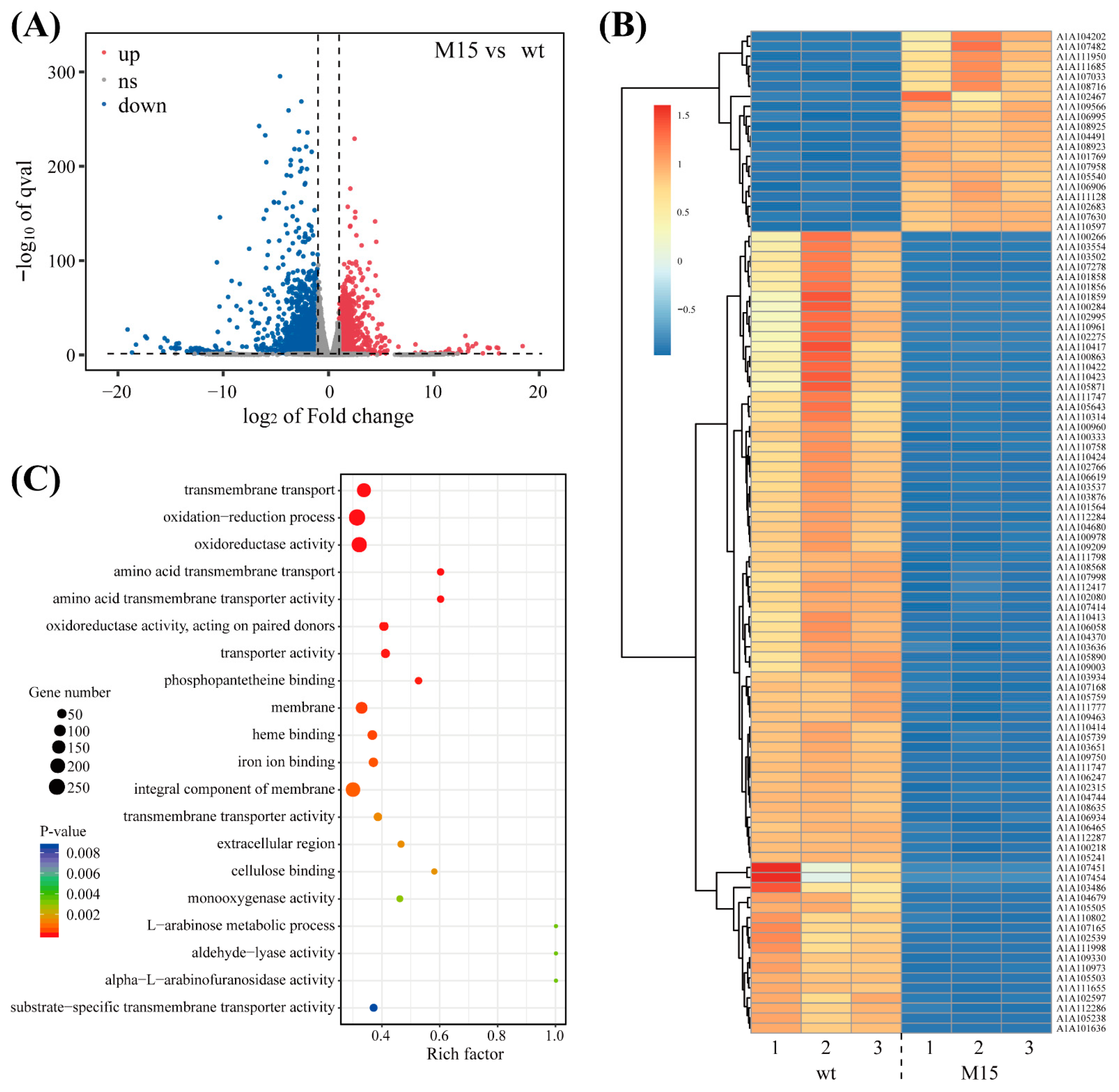 Agriculture 15 00610 g002