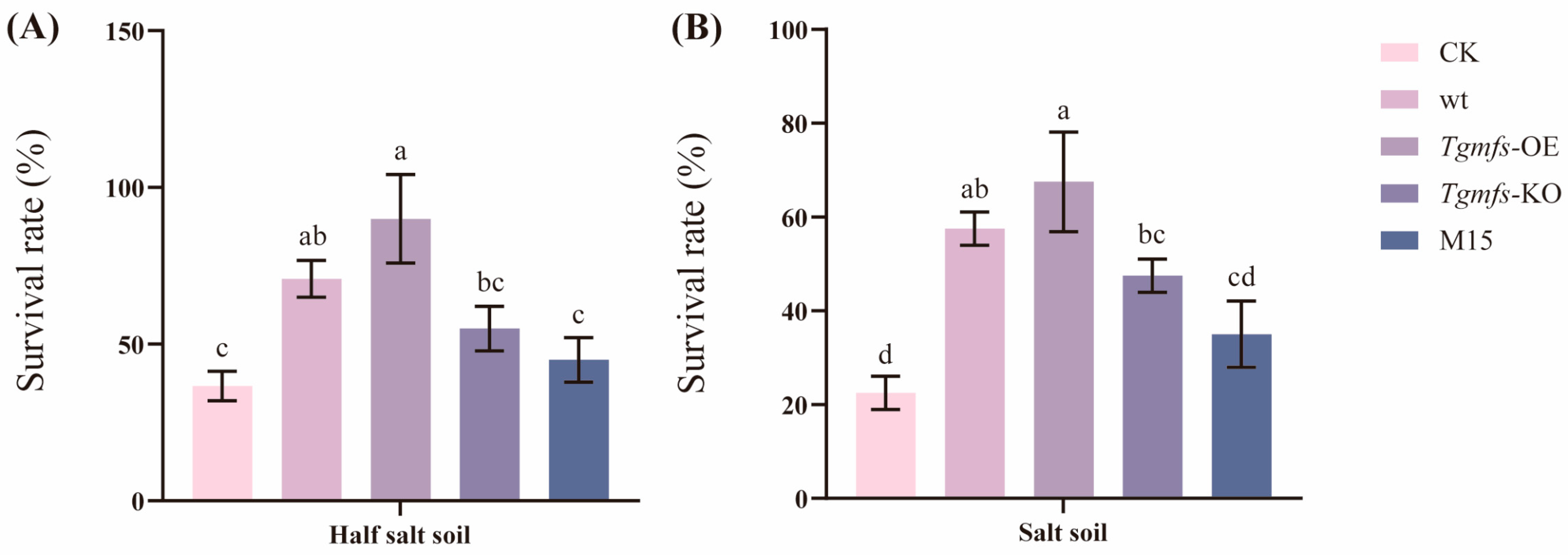 Agriculture 15 00610 g005