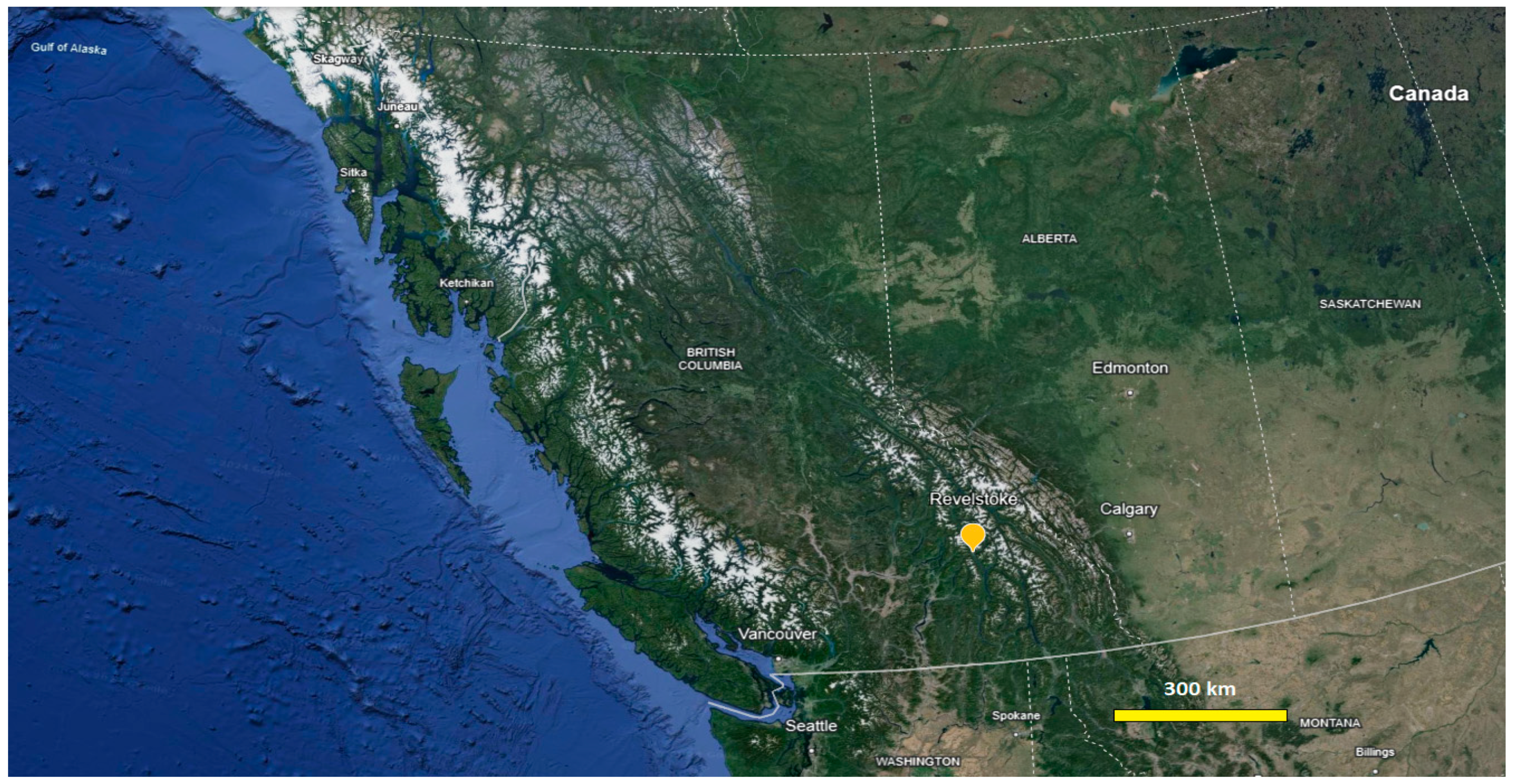 Agriculture 15 00611 g001