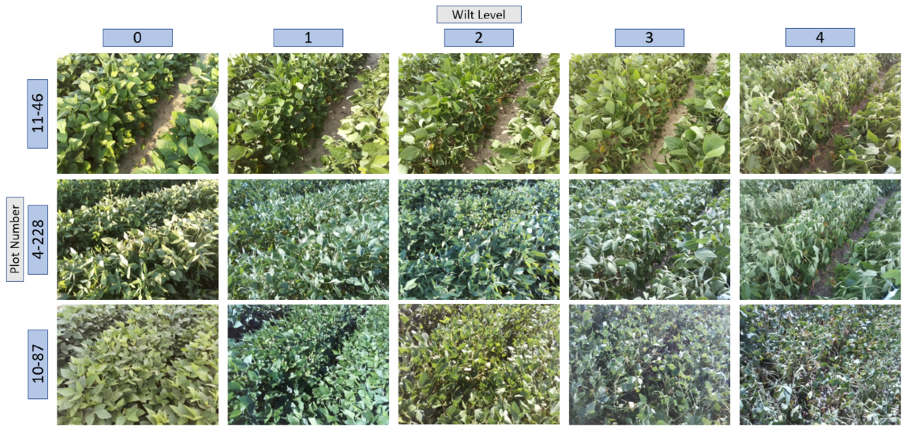 Agriculture 15 00614 g001