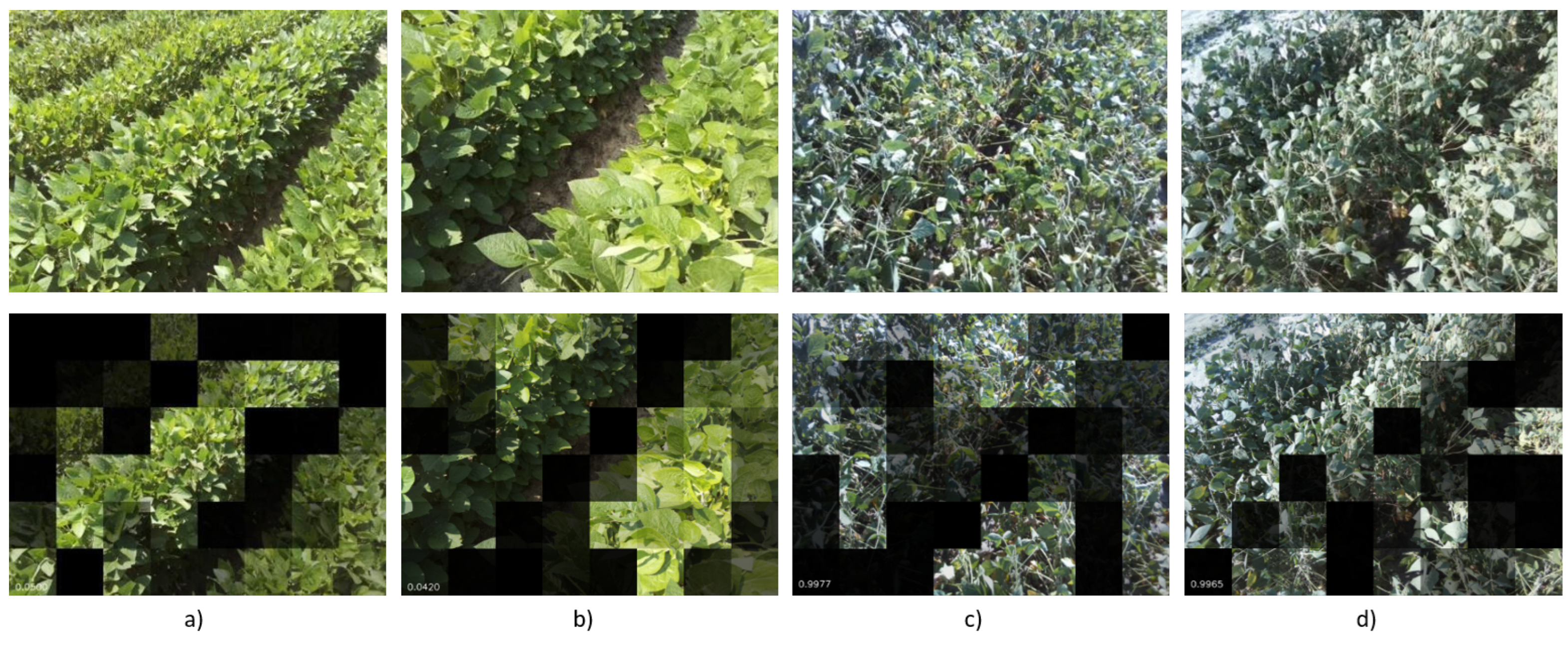 Agriculture 15 00614 g003