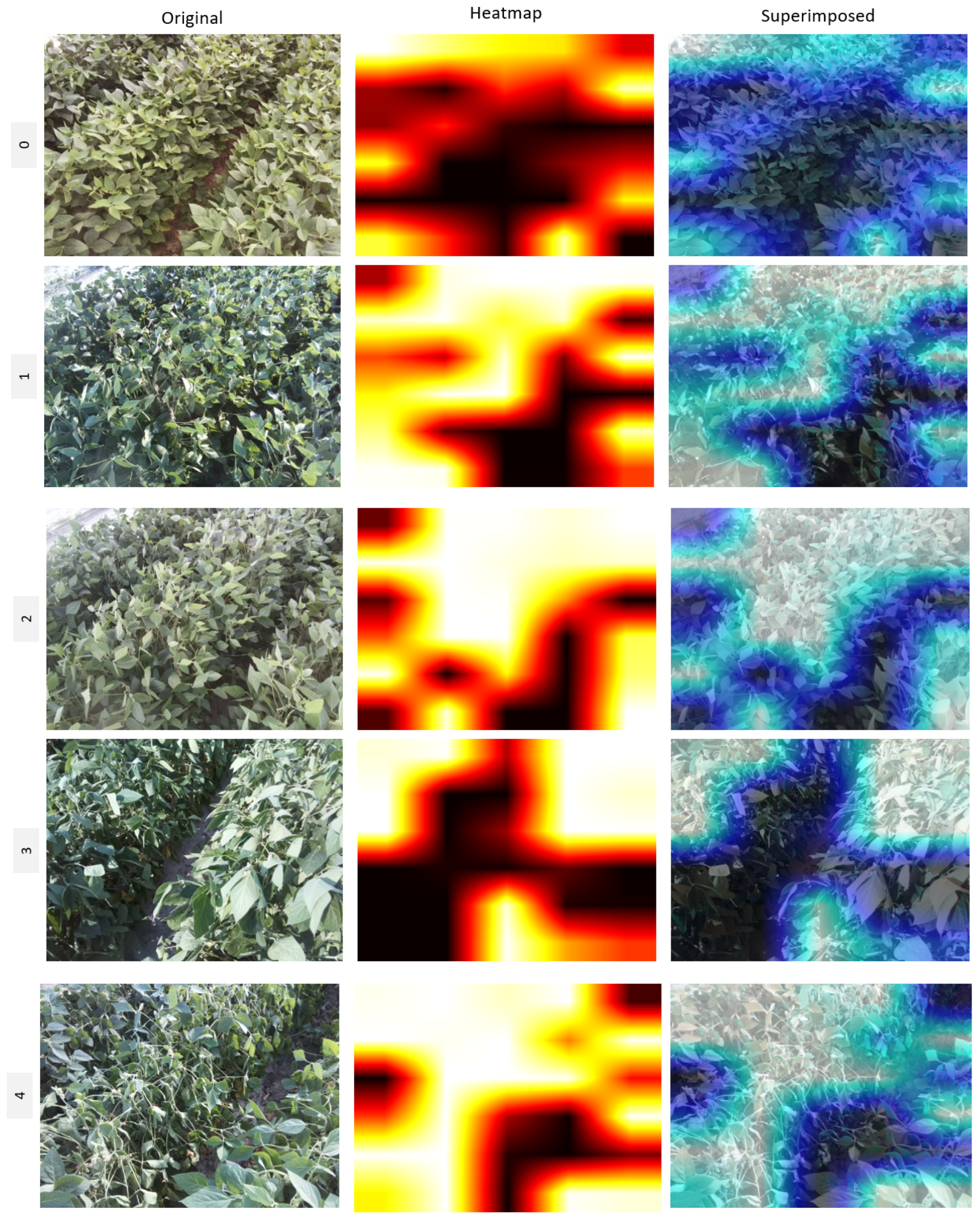 Agriculture 15 00614 g006