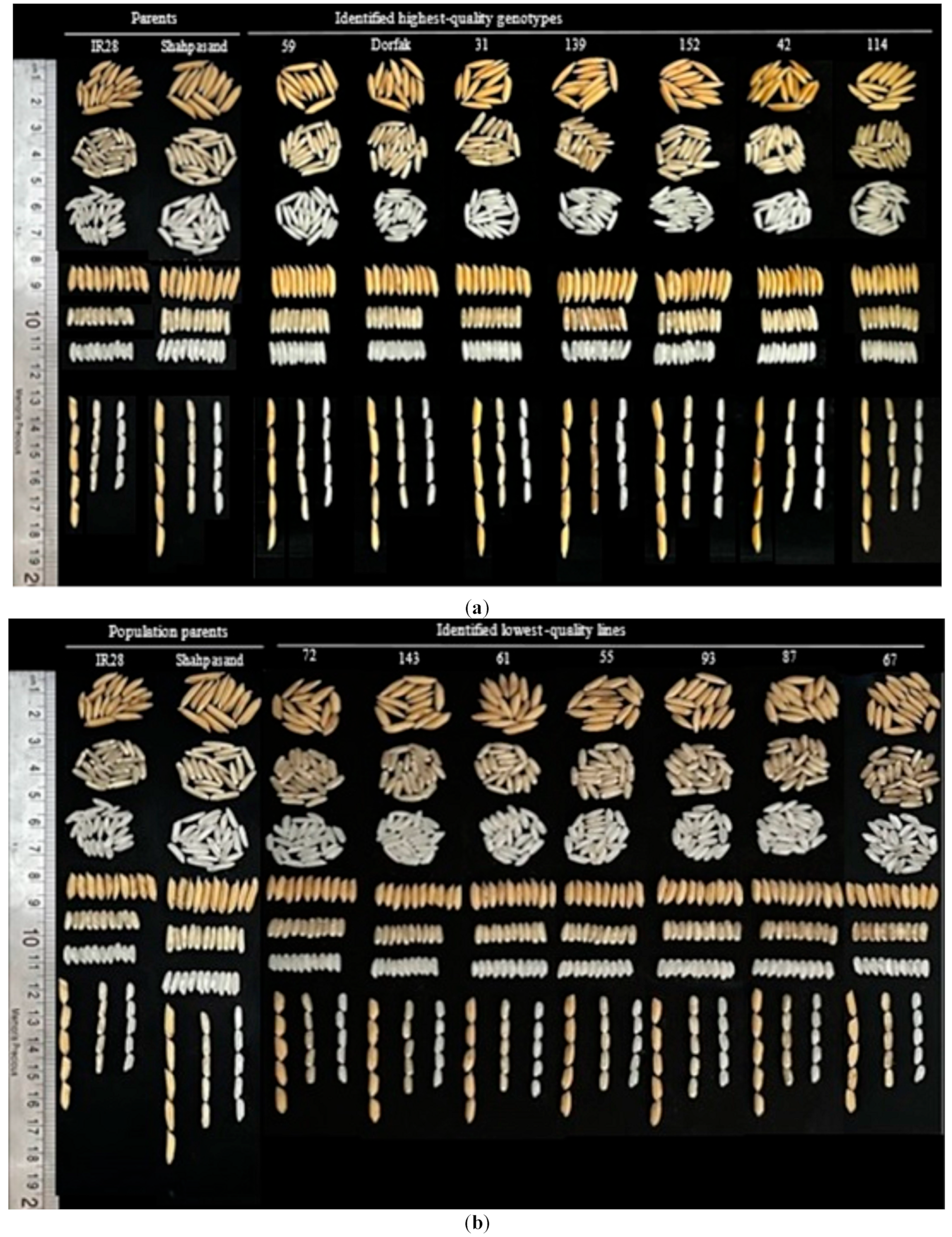 Agriculture 15 00615 g005a