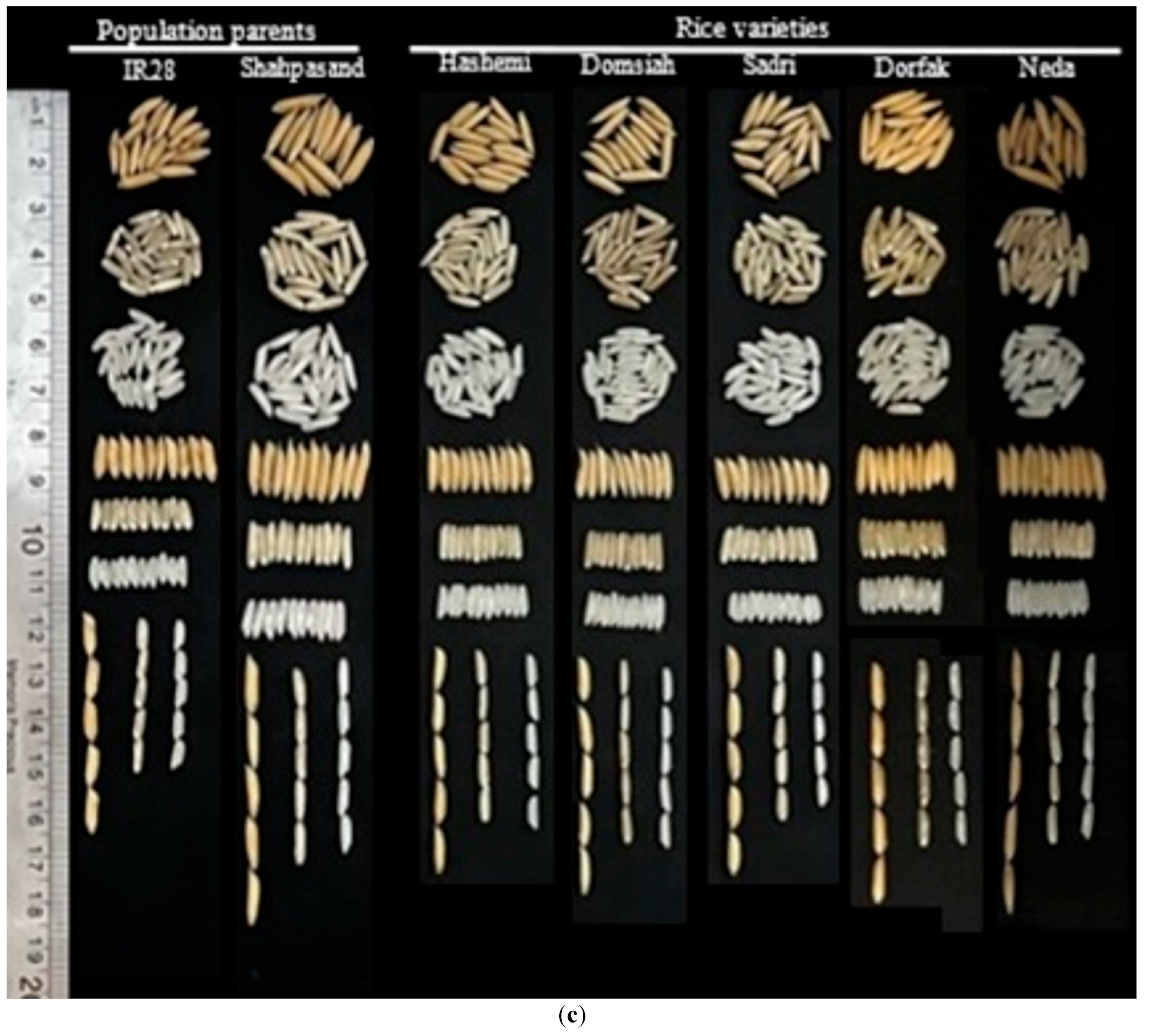 Agriculture 15 00615 g005b