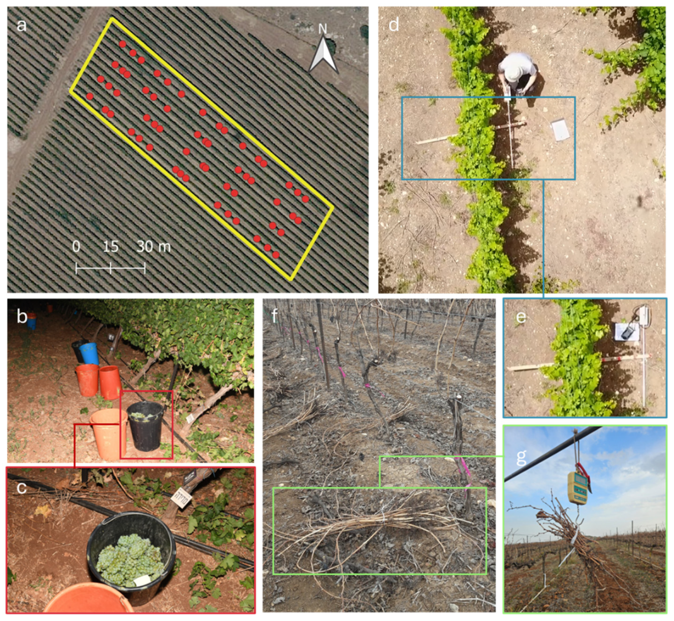 Agriculture 15 00618 g001 Agriculture 15 00618 g001