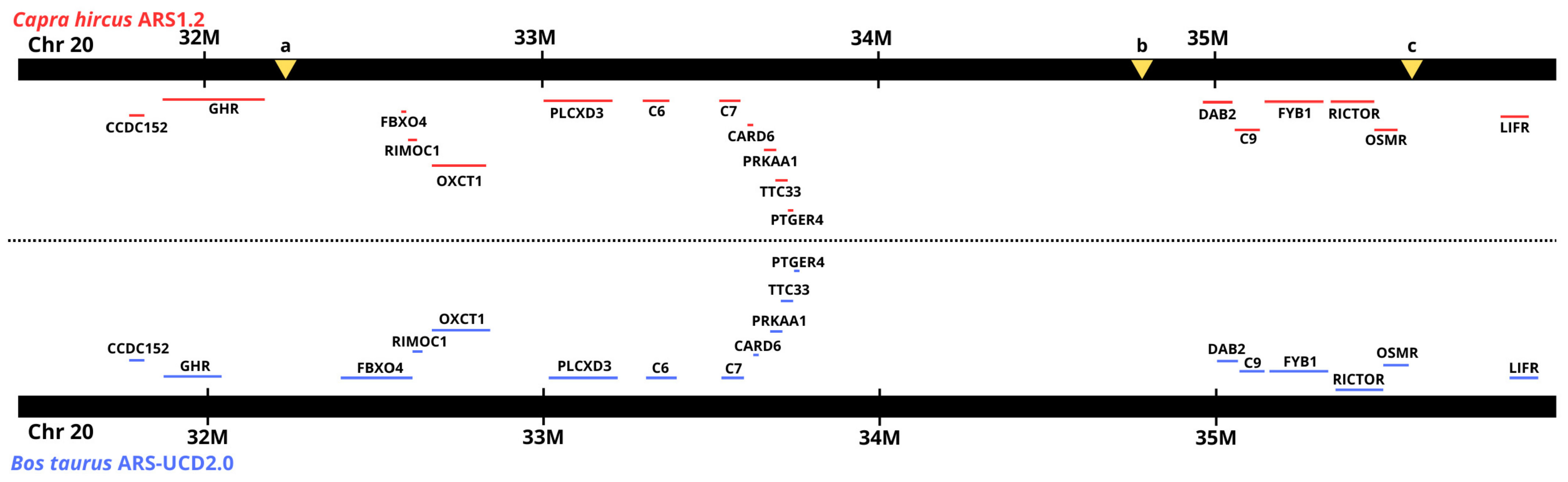 Agriculture 15 00622 g005