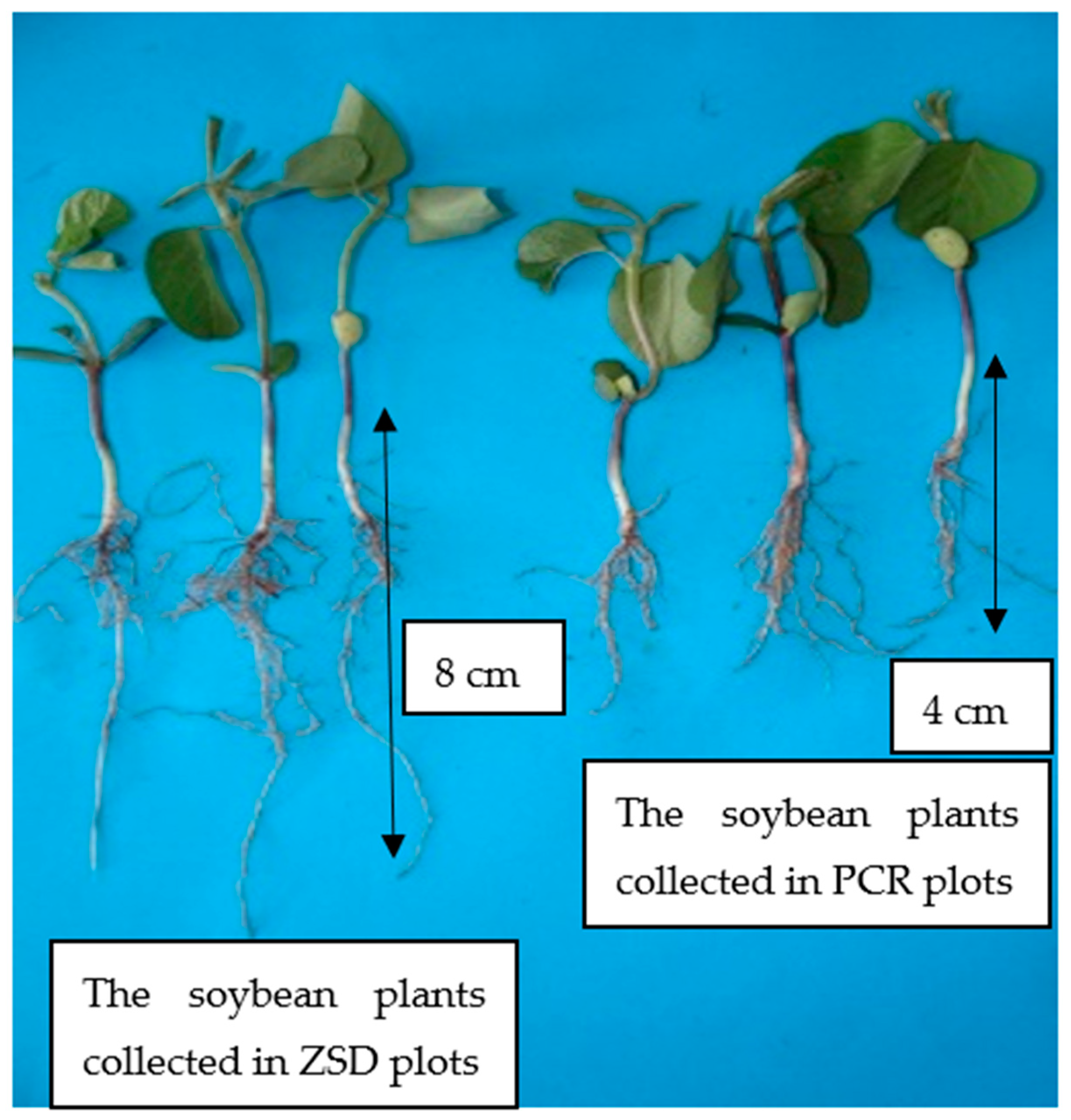 Agriculture 15 00626 g005 Agriculture 15 00626 g005