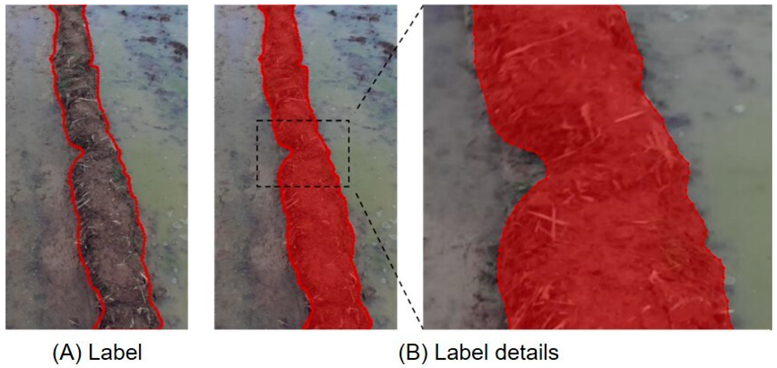 Agriculture 15 00627 g005