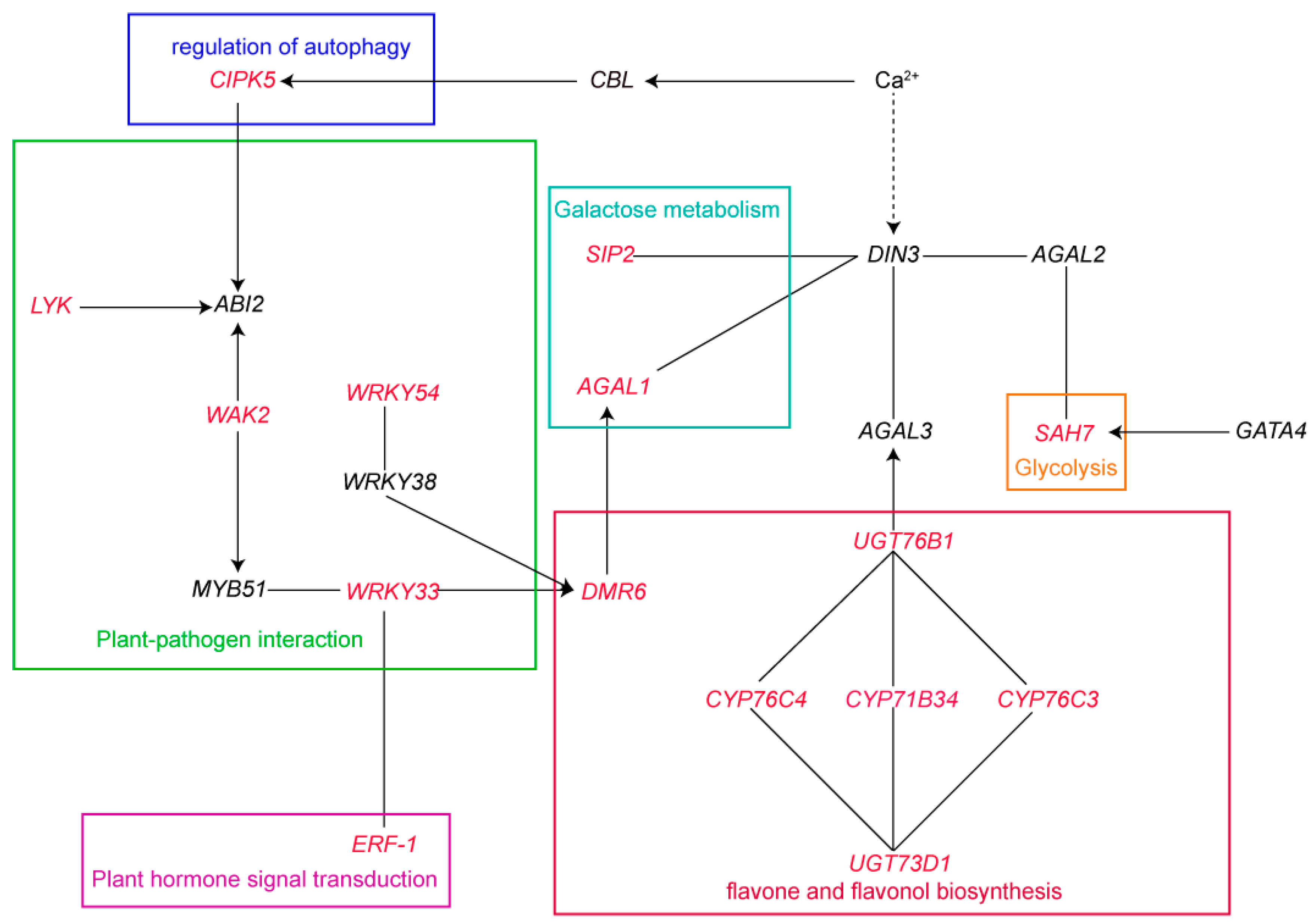 Agriculture 15 00628 g006