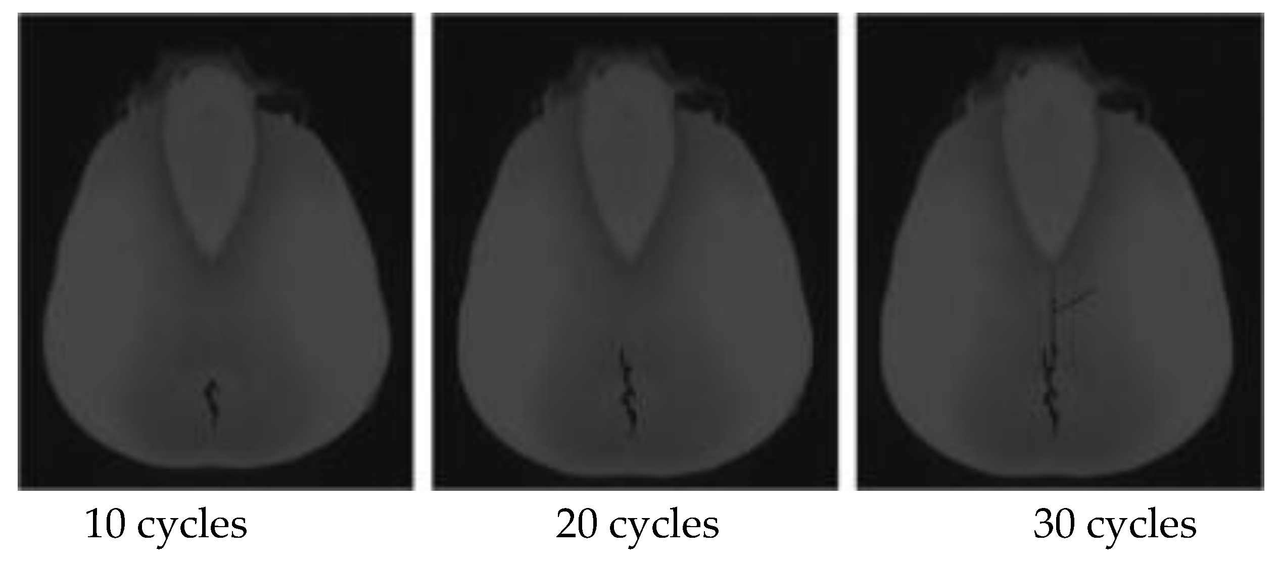 Agriculture 15 00636 g005
