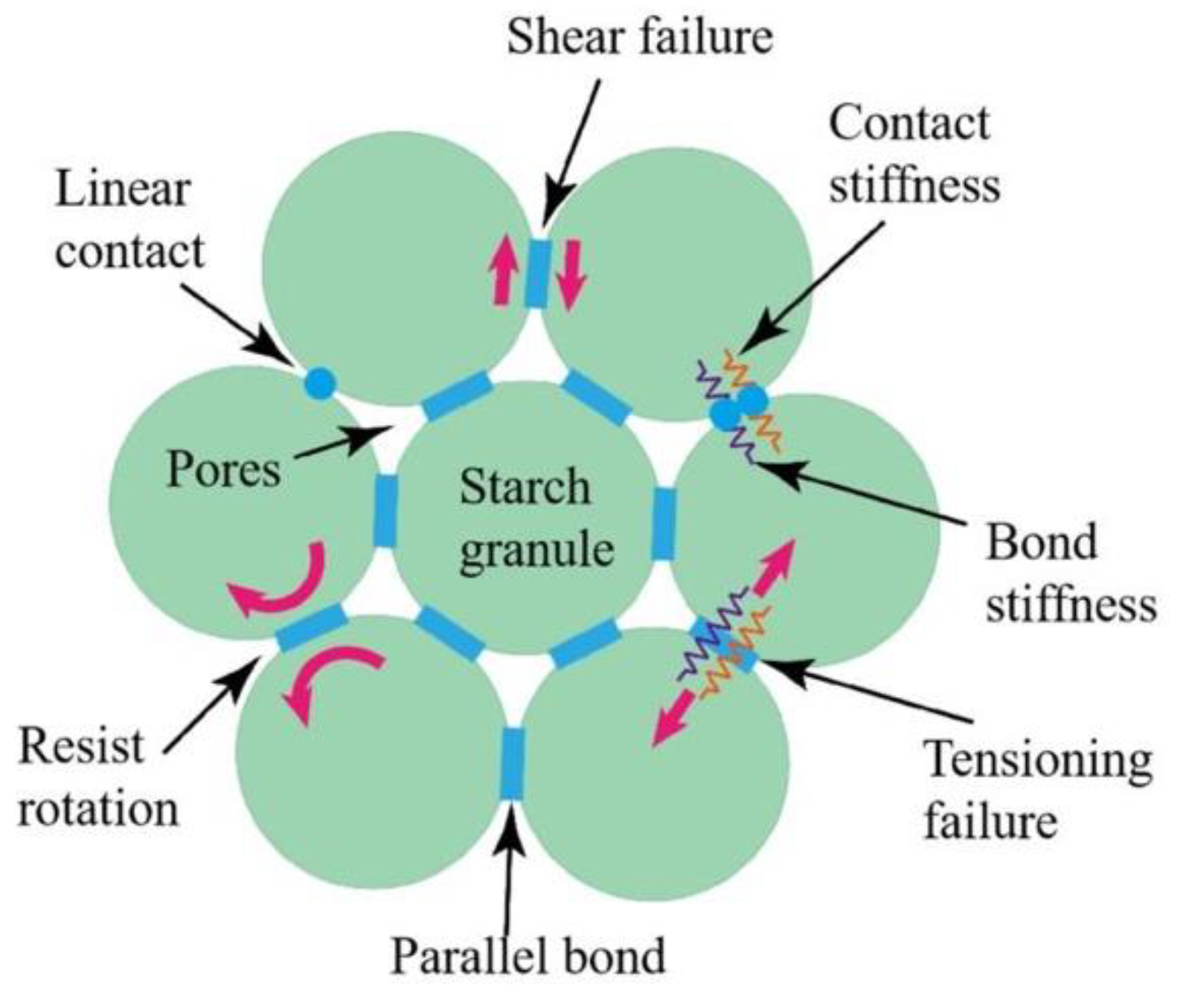 Agriculture 15 00636 g007