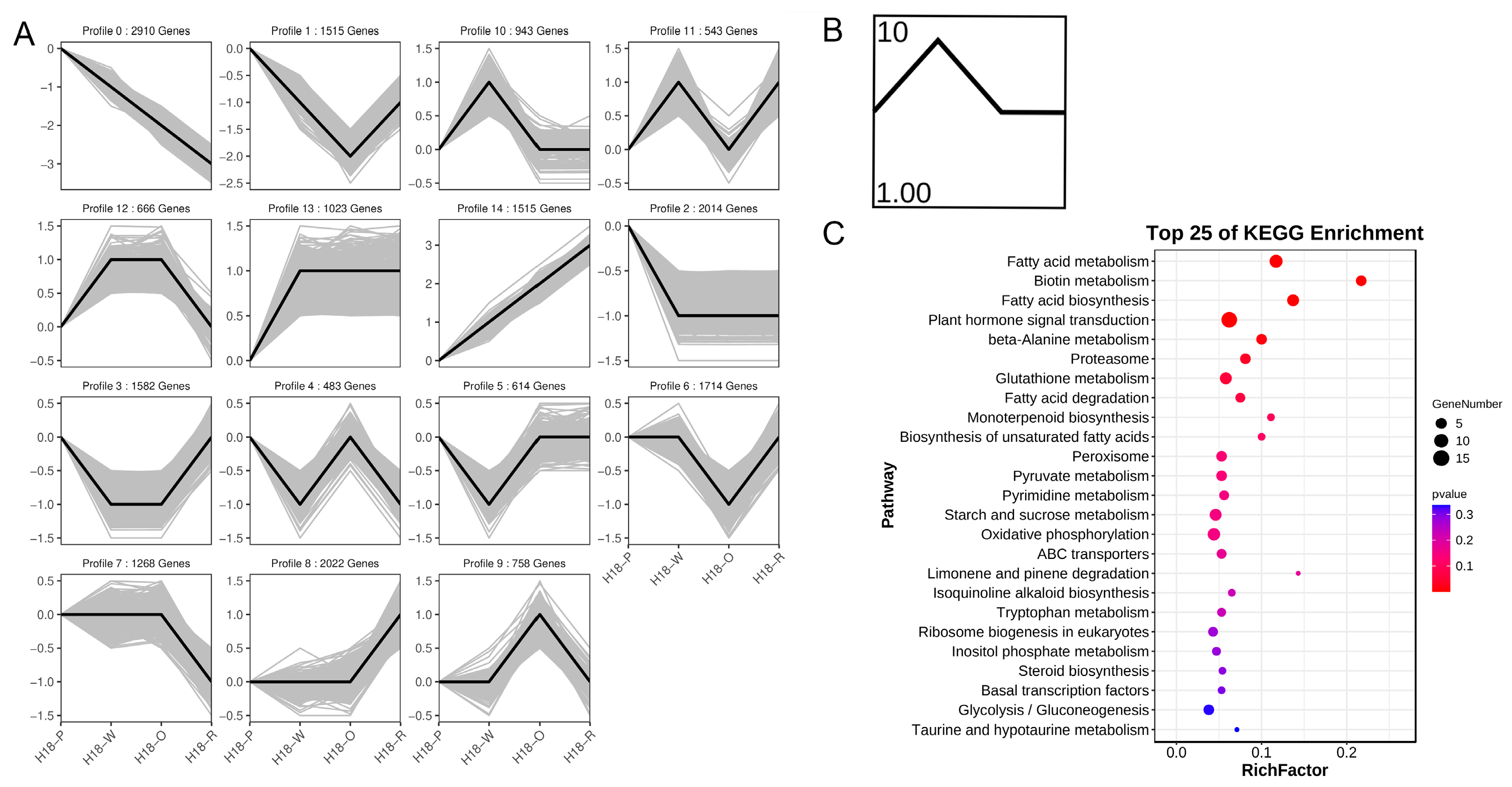 Agriculture 15 00655 g004