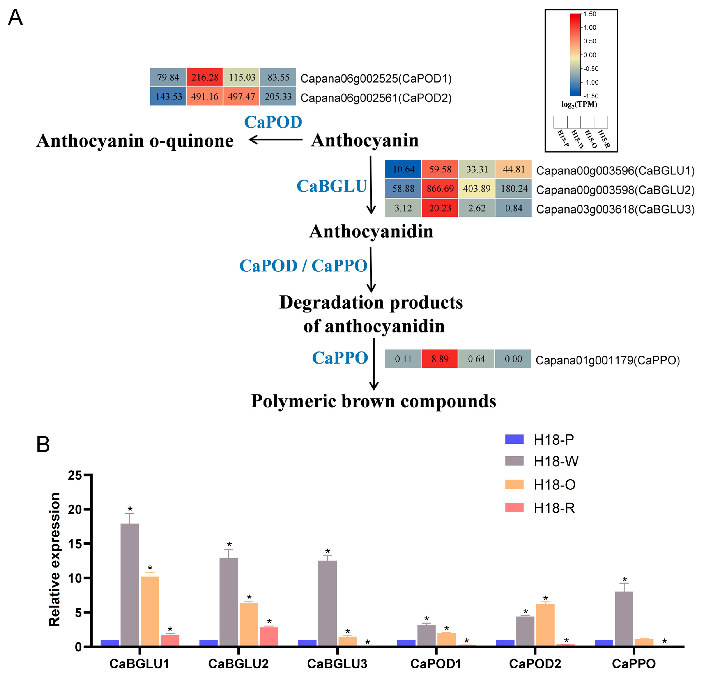 Agriculture 15 00655 g005