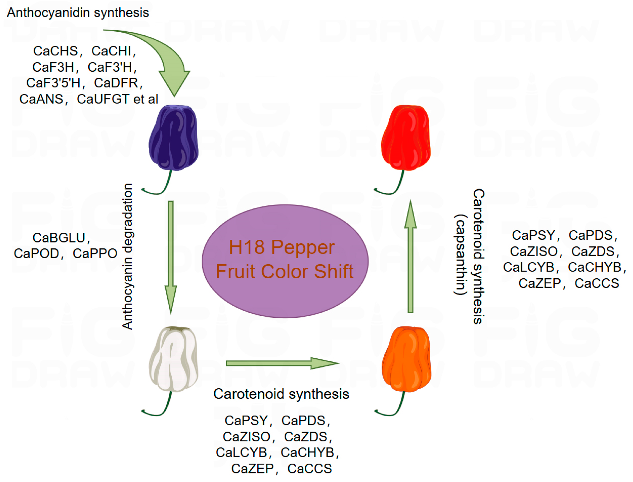 Agriculture 15 00655 g007