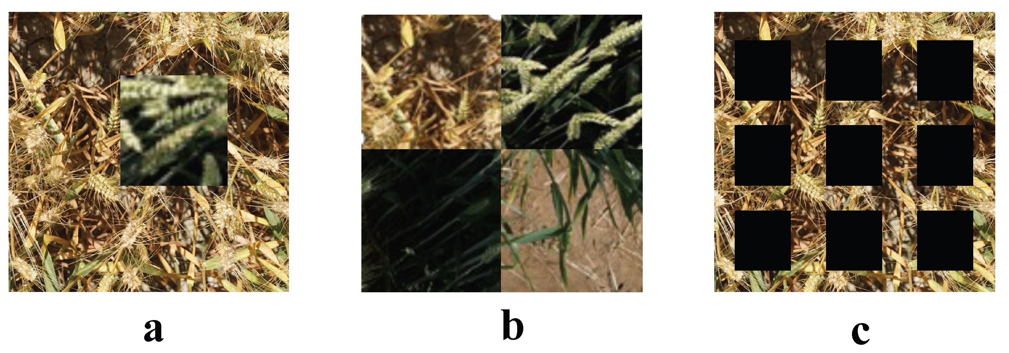 Agriculture 15 00670 g002