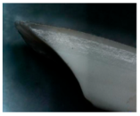 Agriculture 15 00675 i007