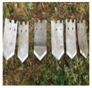 Agriculture 15 00675 i008