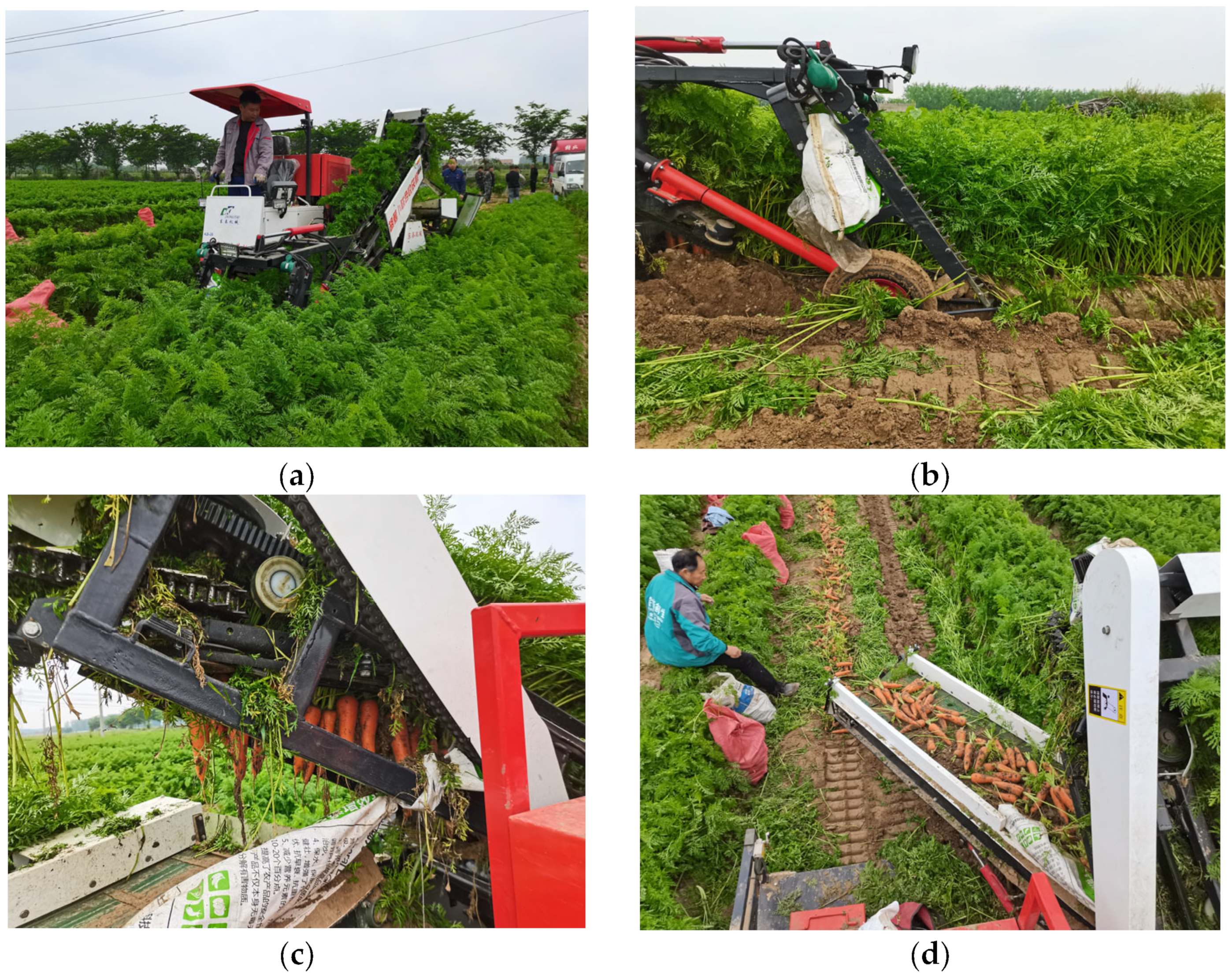 Agriculture 15 00682 g006