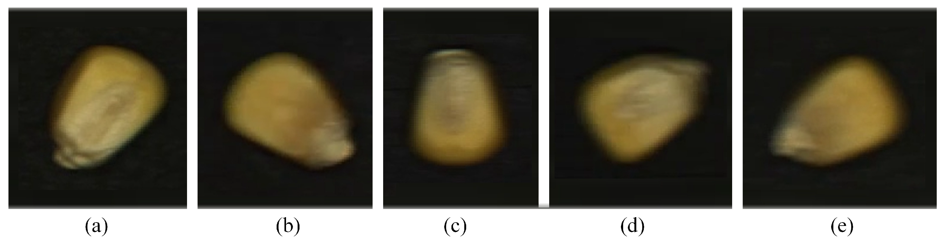 Agriculture 15 00685 g017