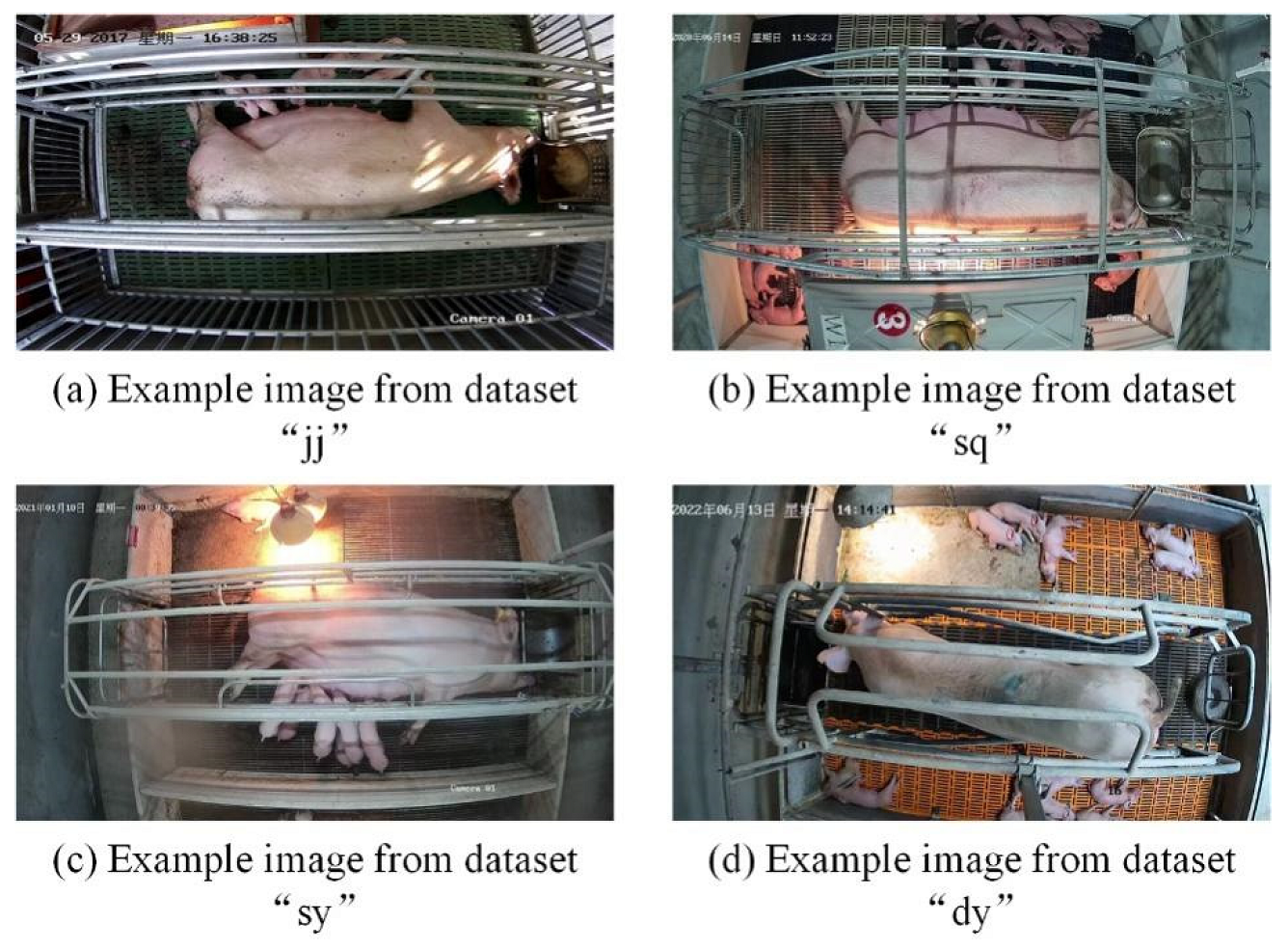 Agriculture 15 00696 g002