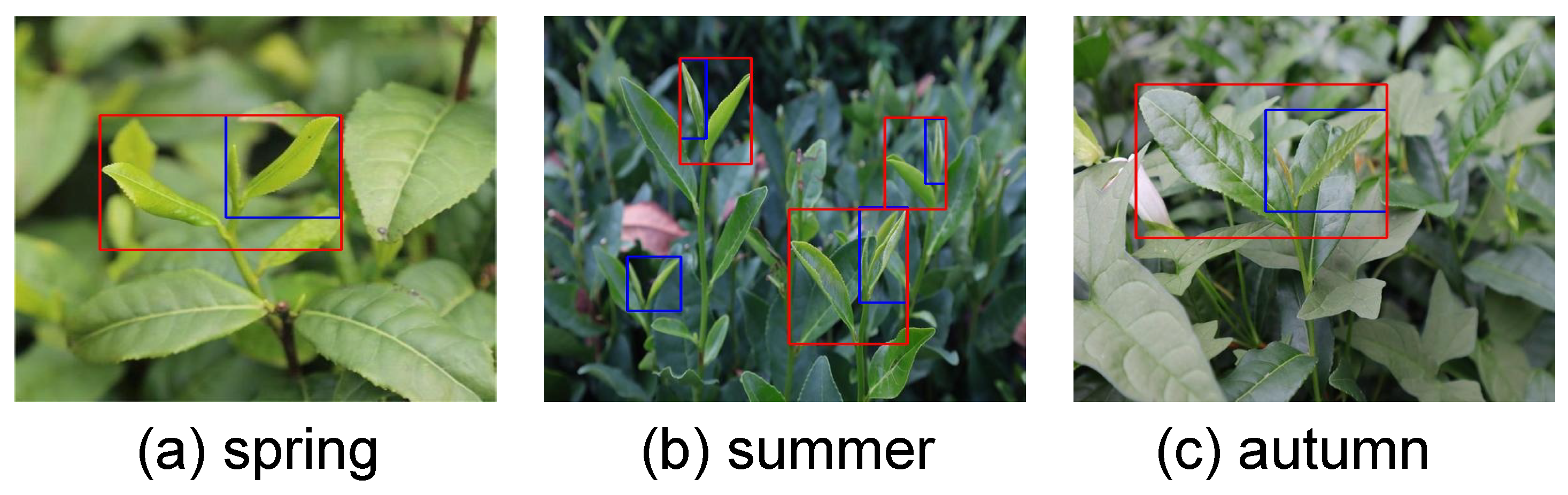 Agriculture 15 00712 g002