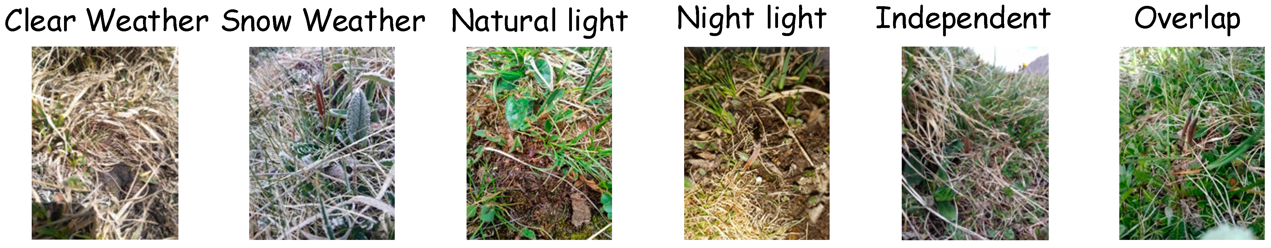 Agriculture 15 00713 g008