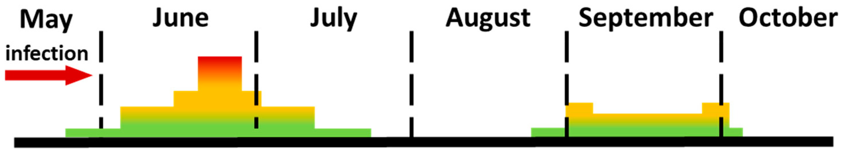 Agriculture 15 00714 g002