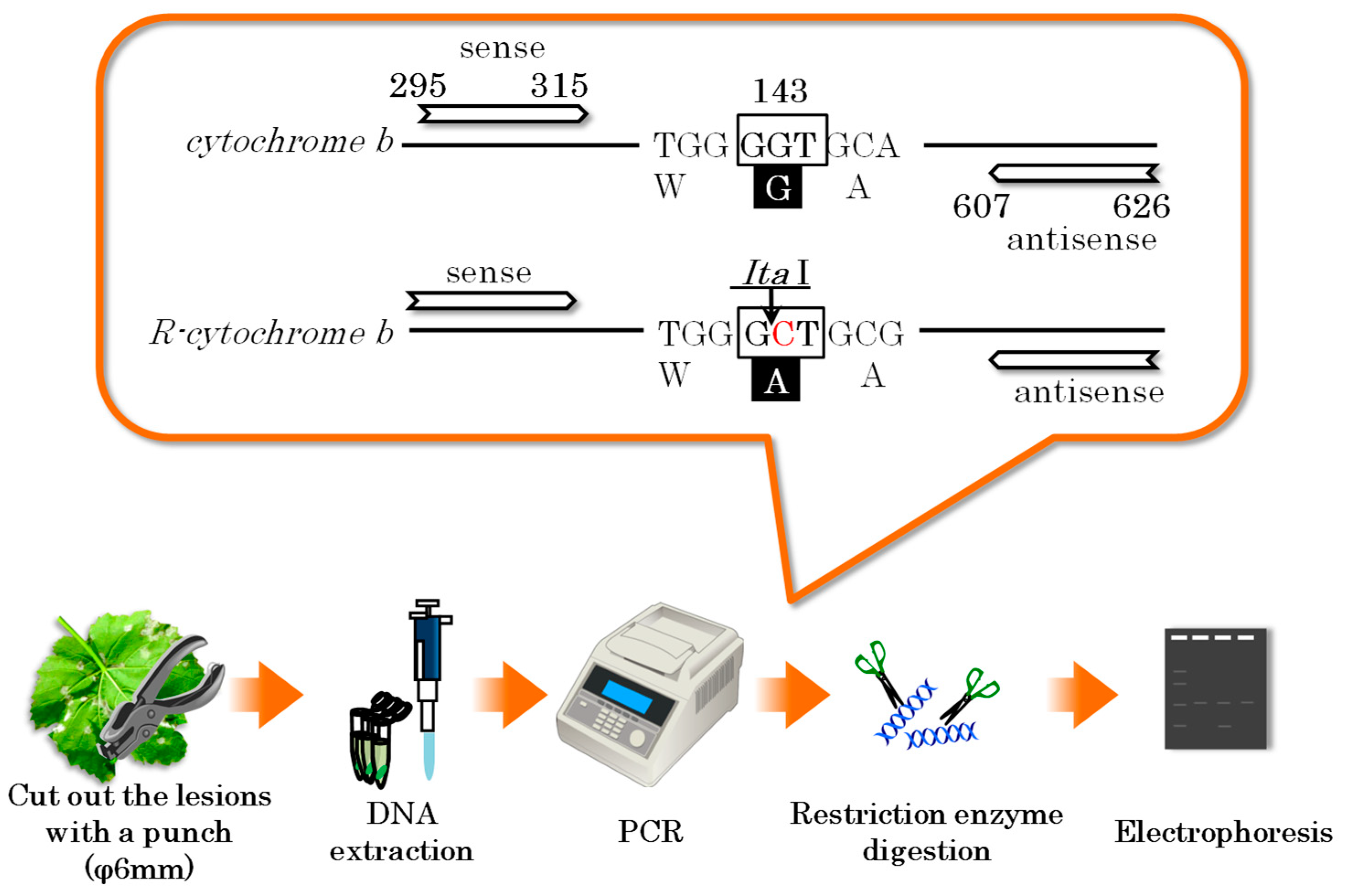 Agriculture 15 00714 g003