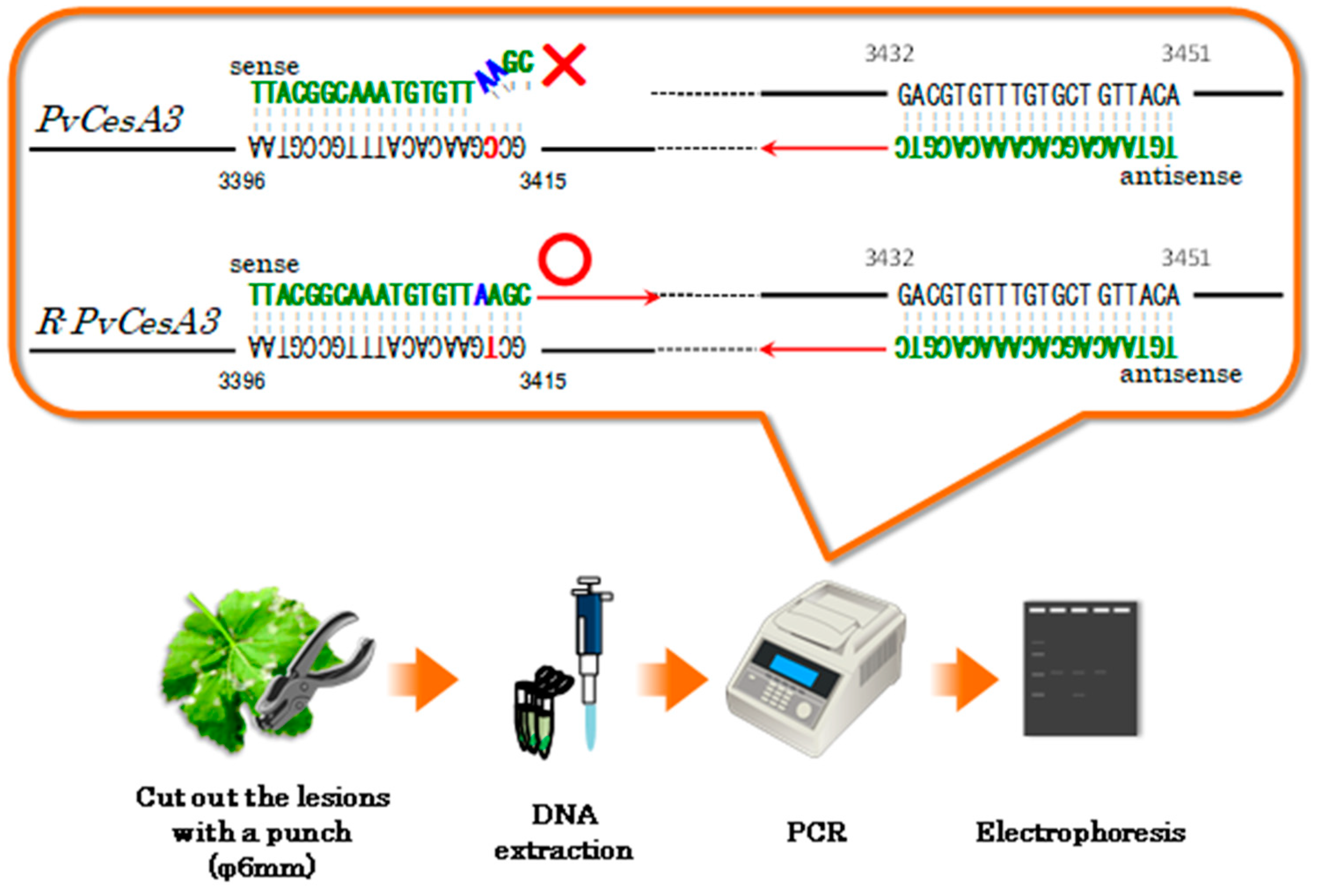 Agriculture 15 00714 g004