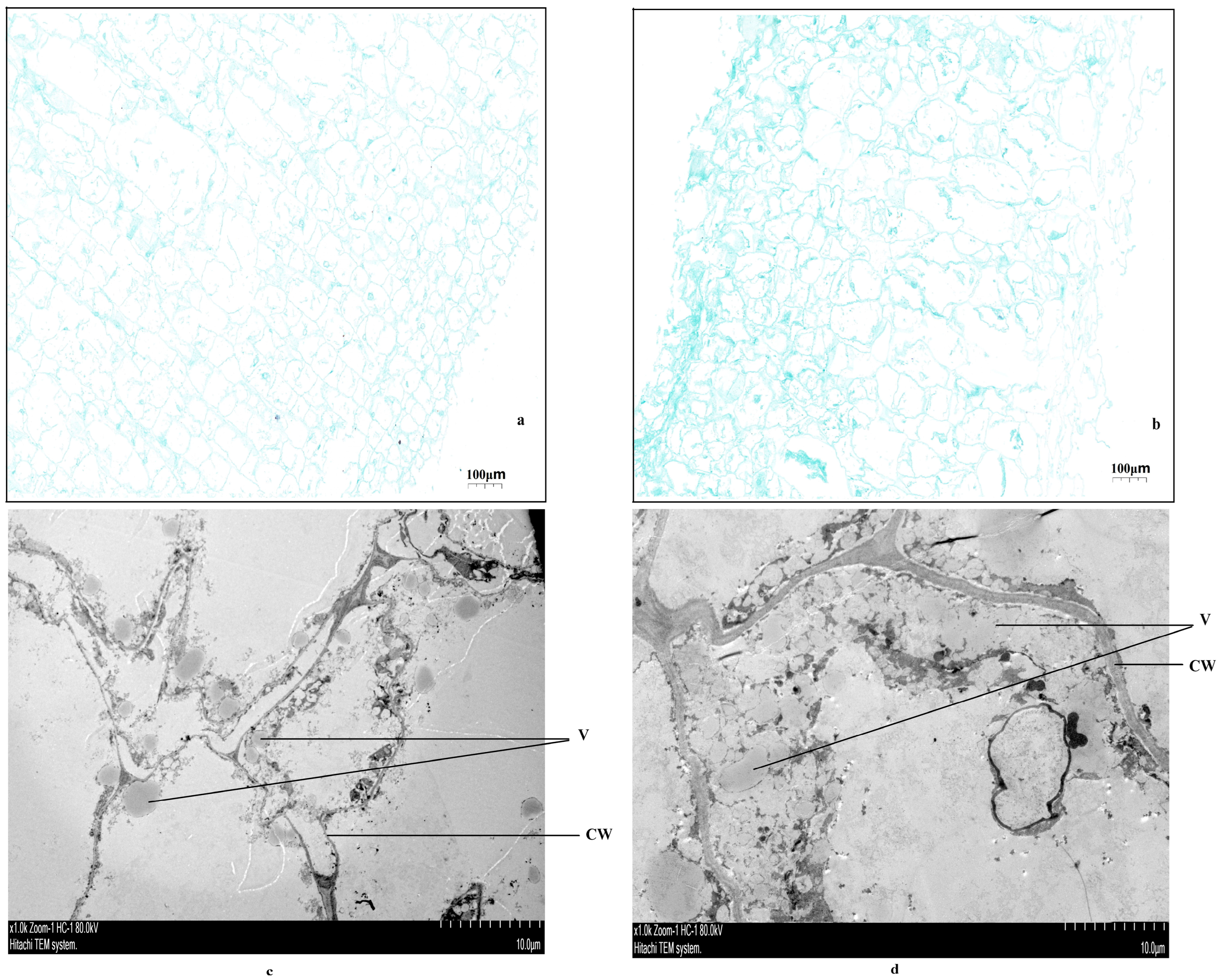 Agriculture 15 00723 g002
