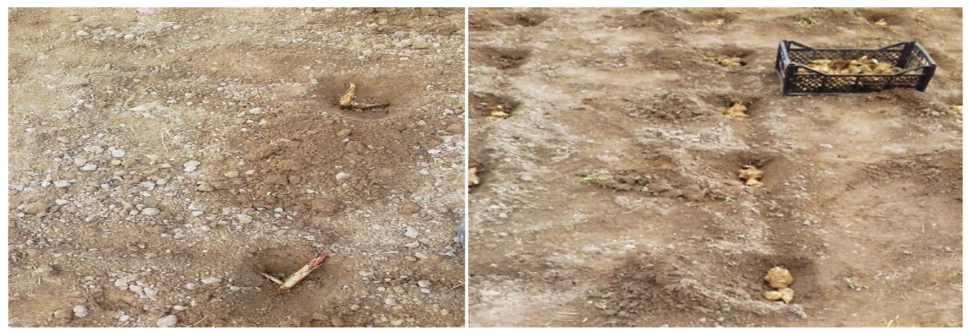 Agriculture 15 00727 g002