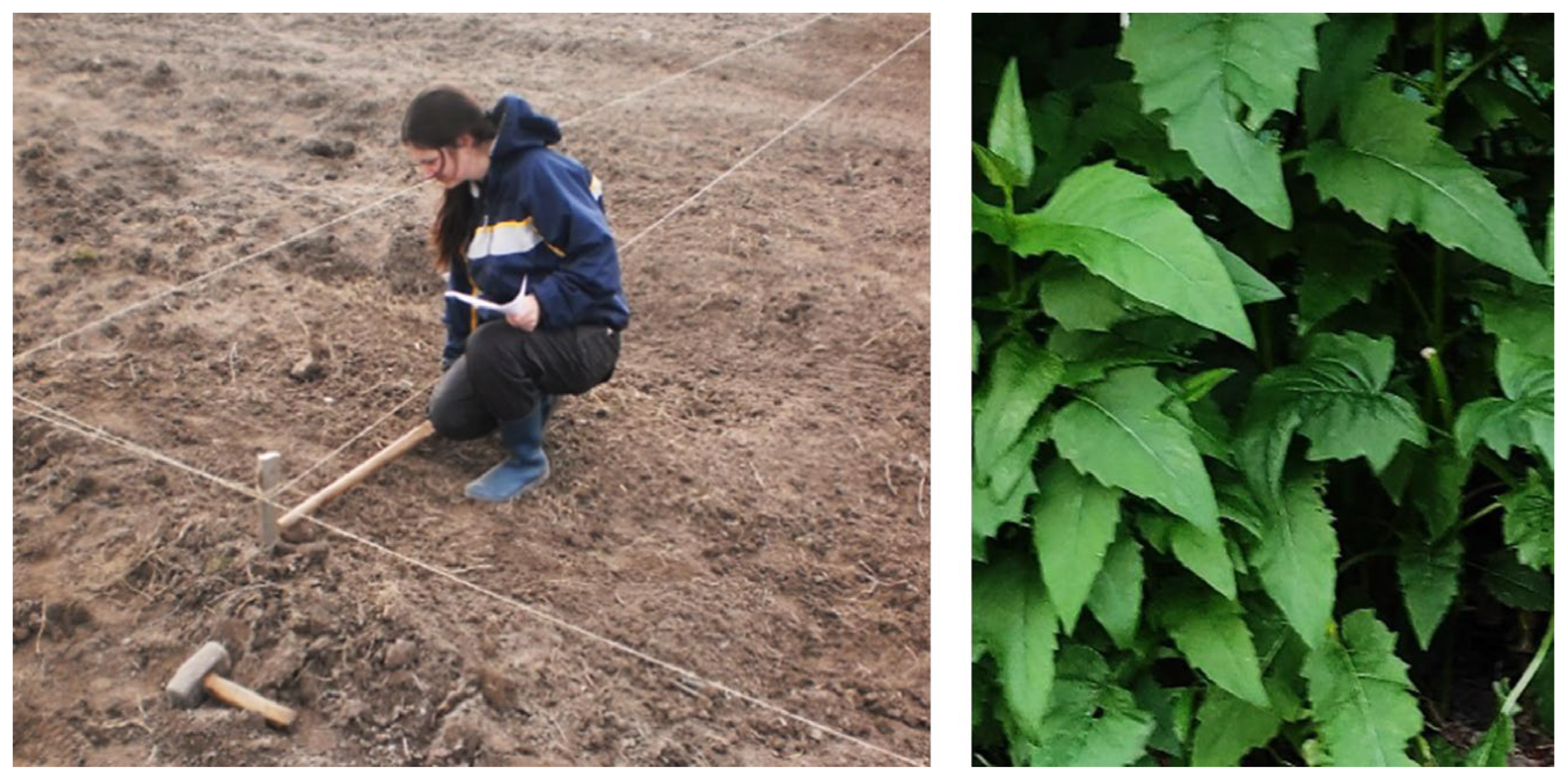 Agriculture 15 00727 g003