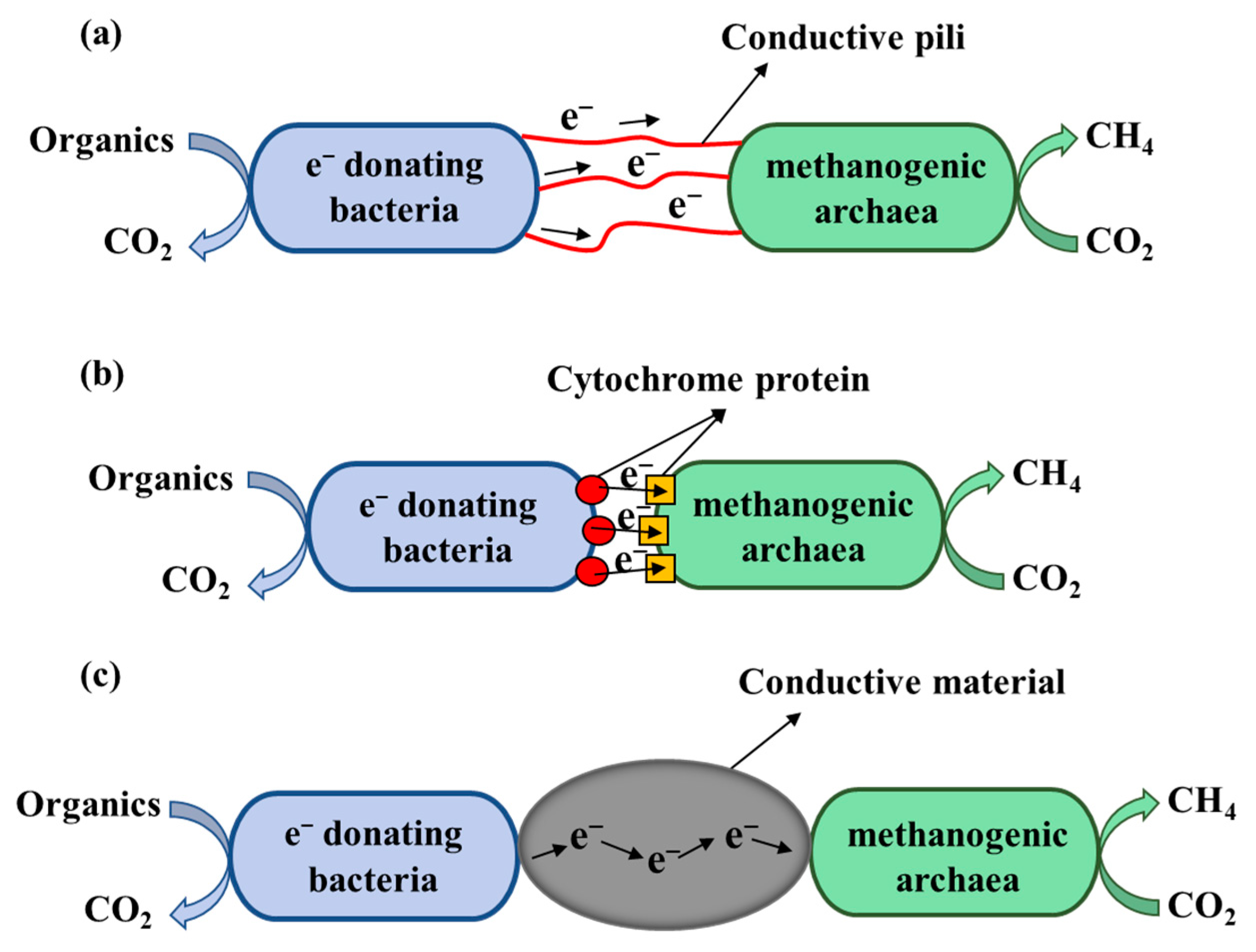 Agriculture 15 00728 g004