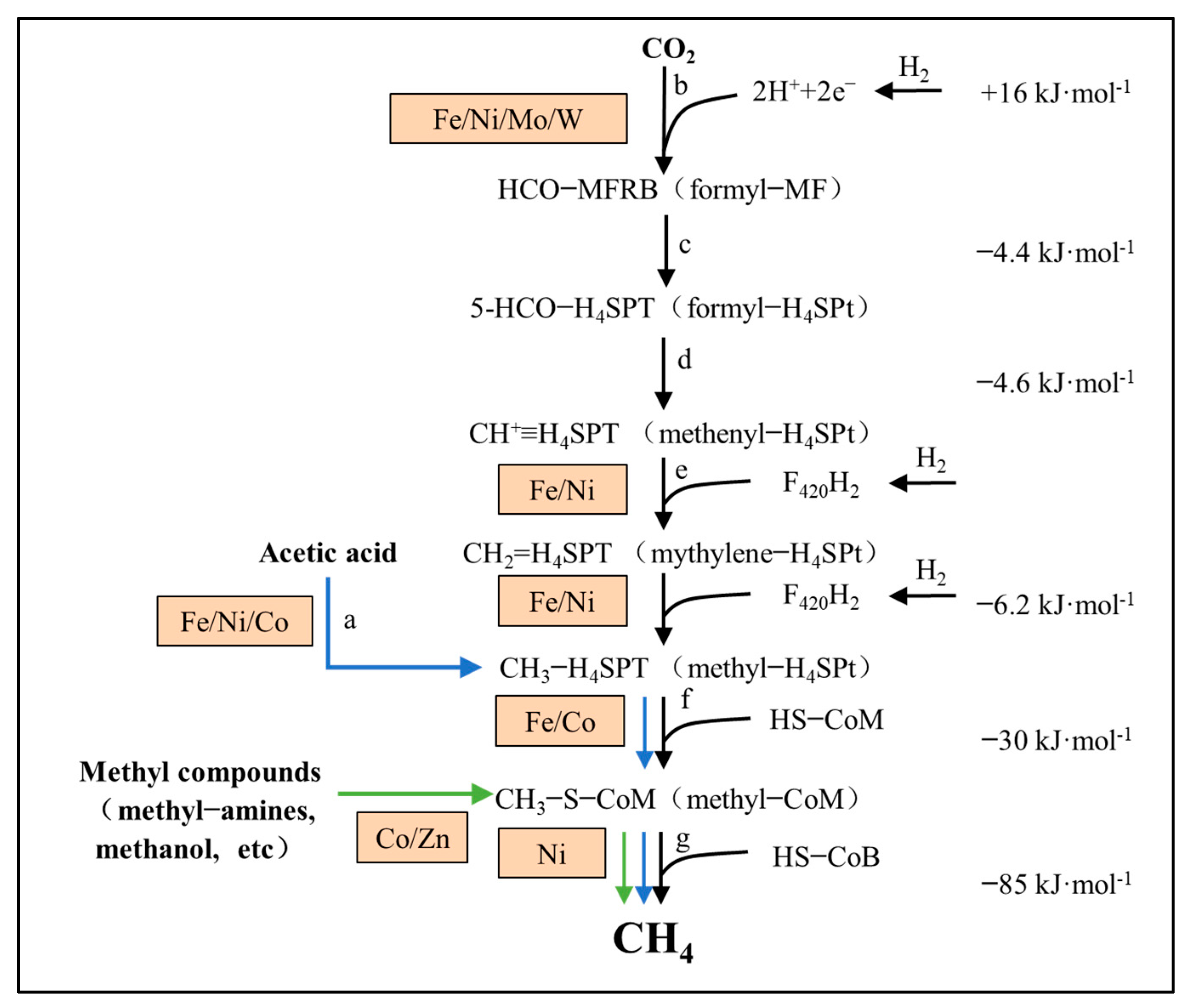 Agriculture 15 00728 g005
