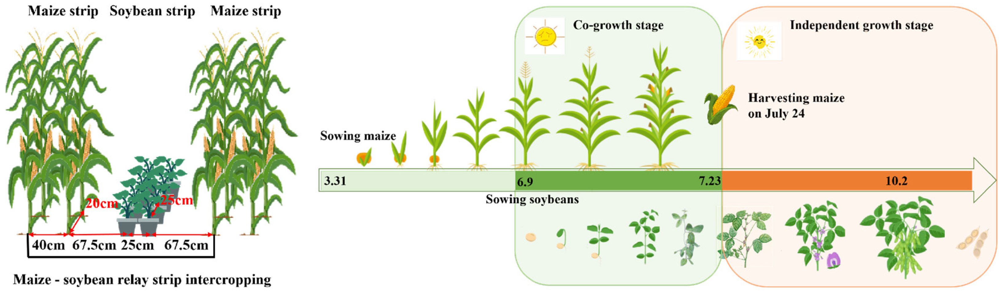Agriculture 15 00729 g001