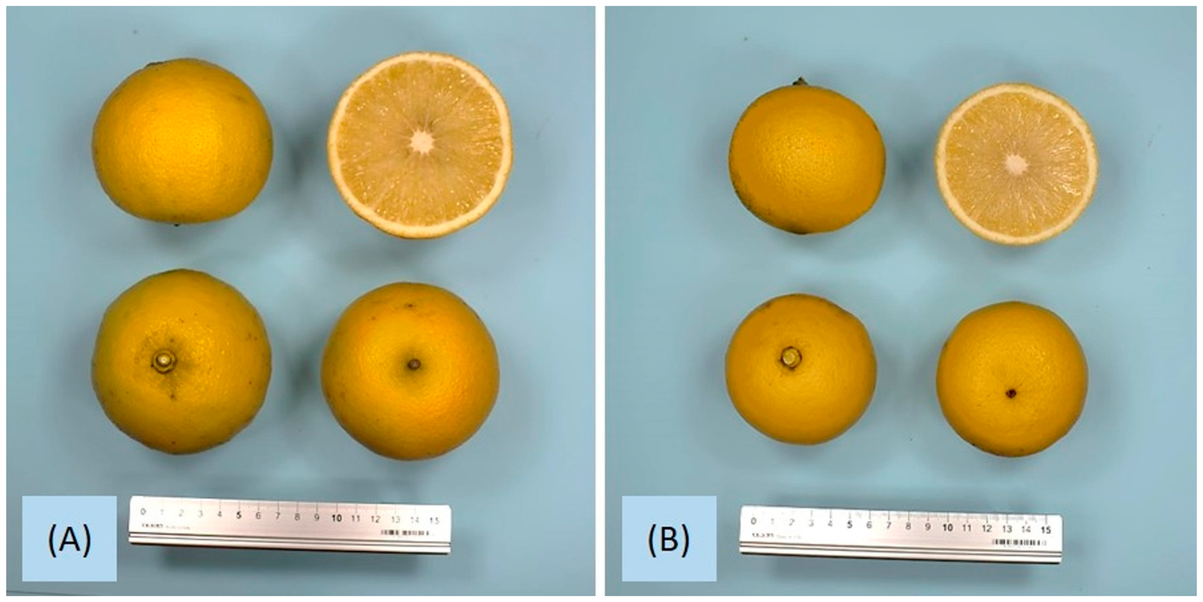 Agriculture 15 00737 g008