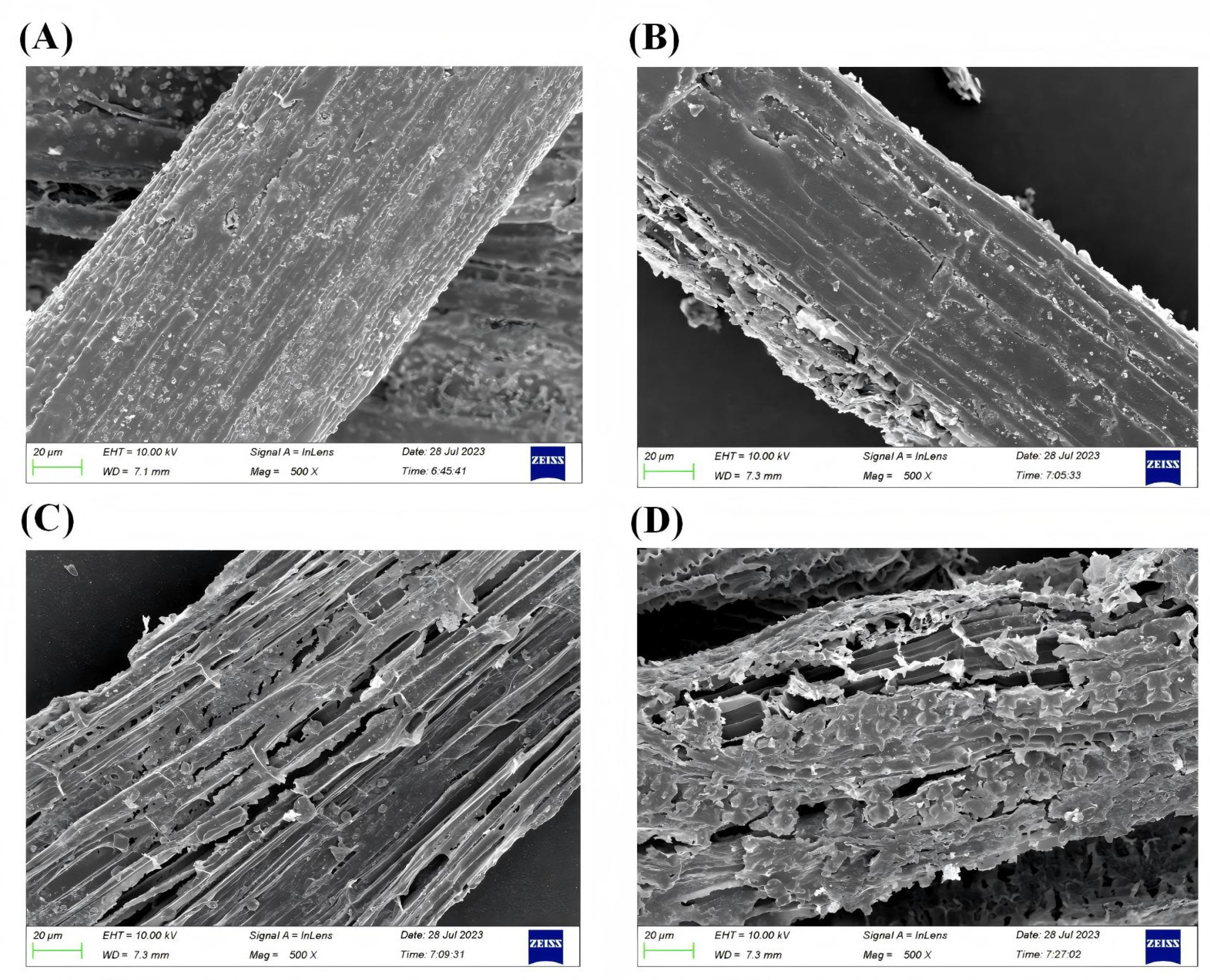 Agriculture 15 00739 g001
