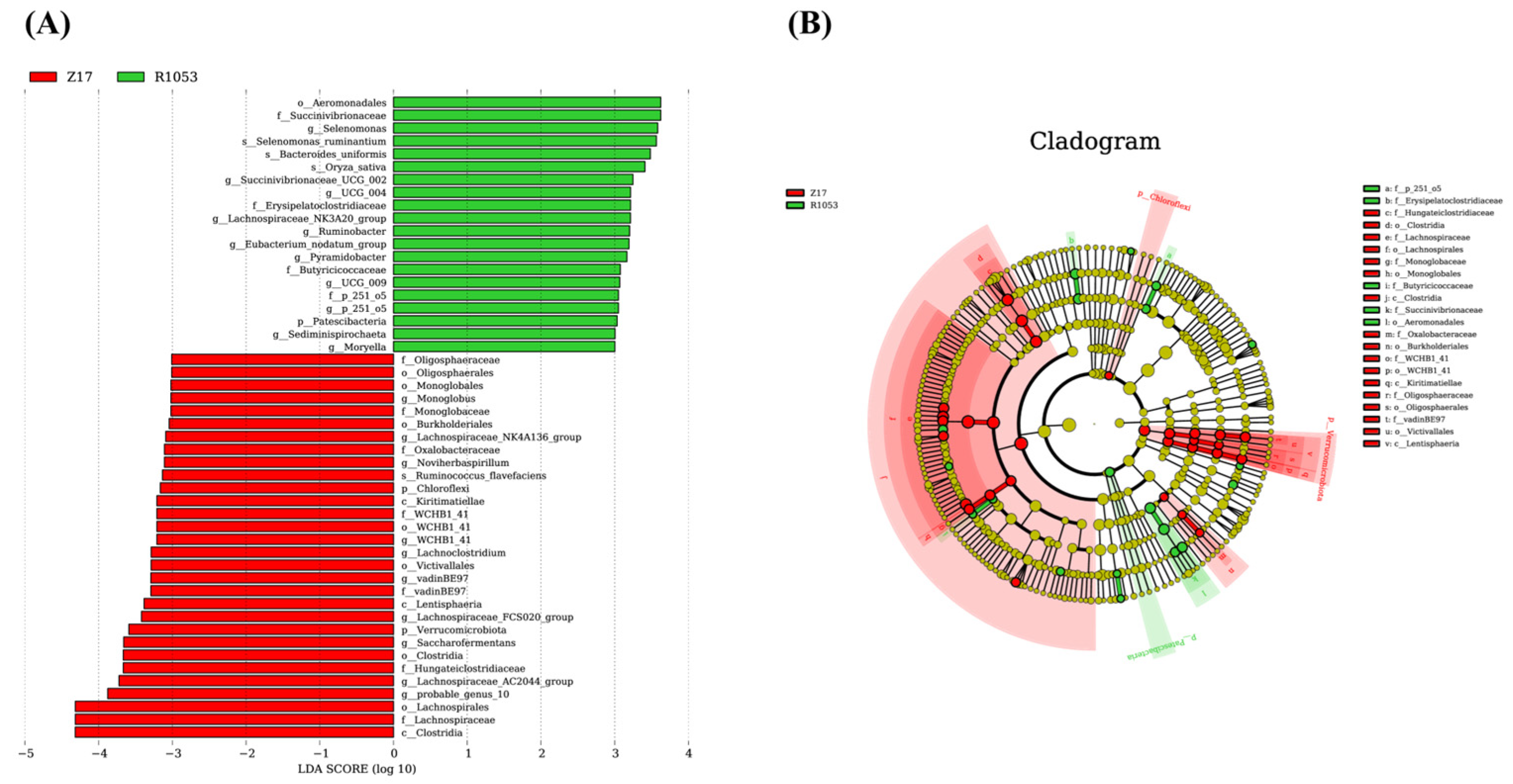 Agriculture 15 00739 g002