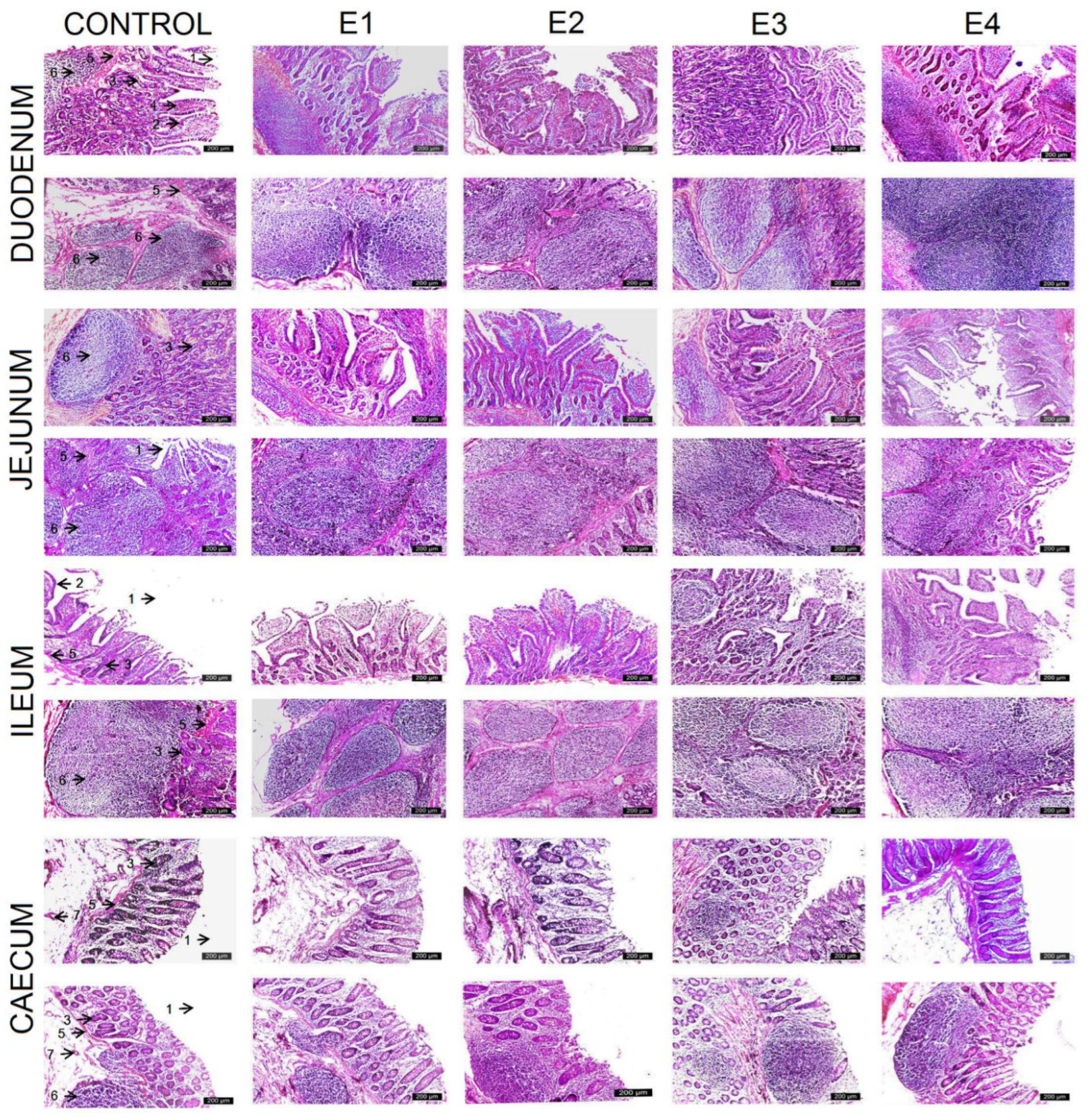 Agriculture 15 00740 g001