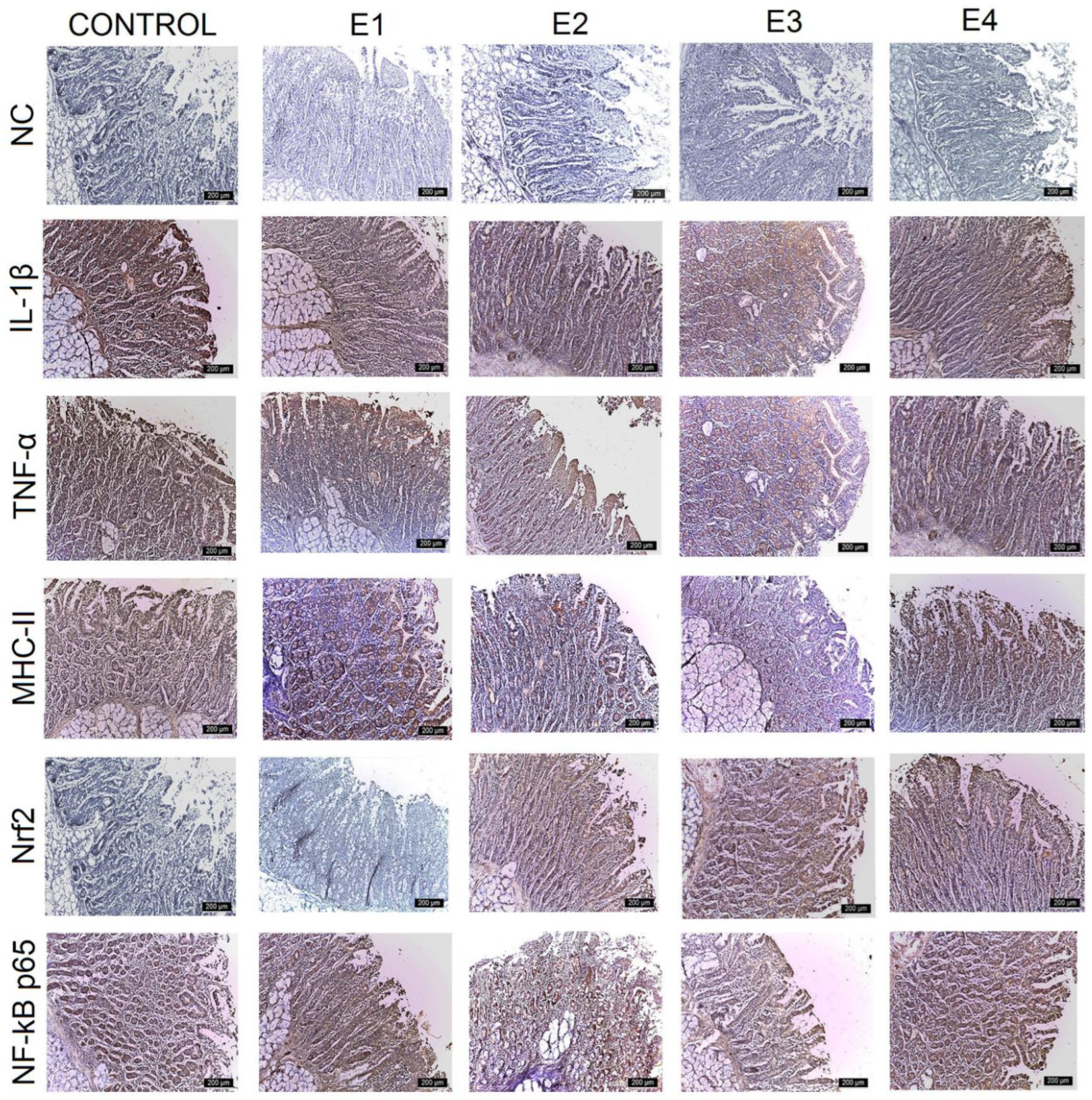 Agriculture 15 00740 g002