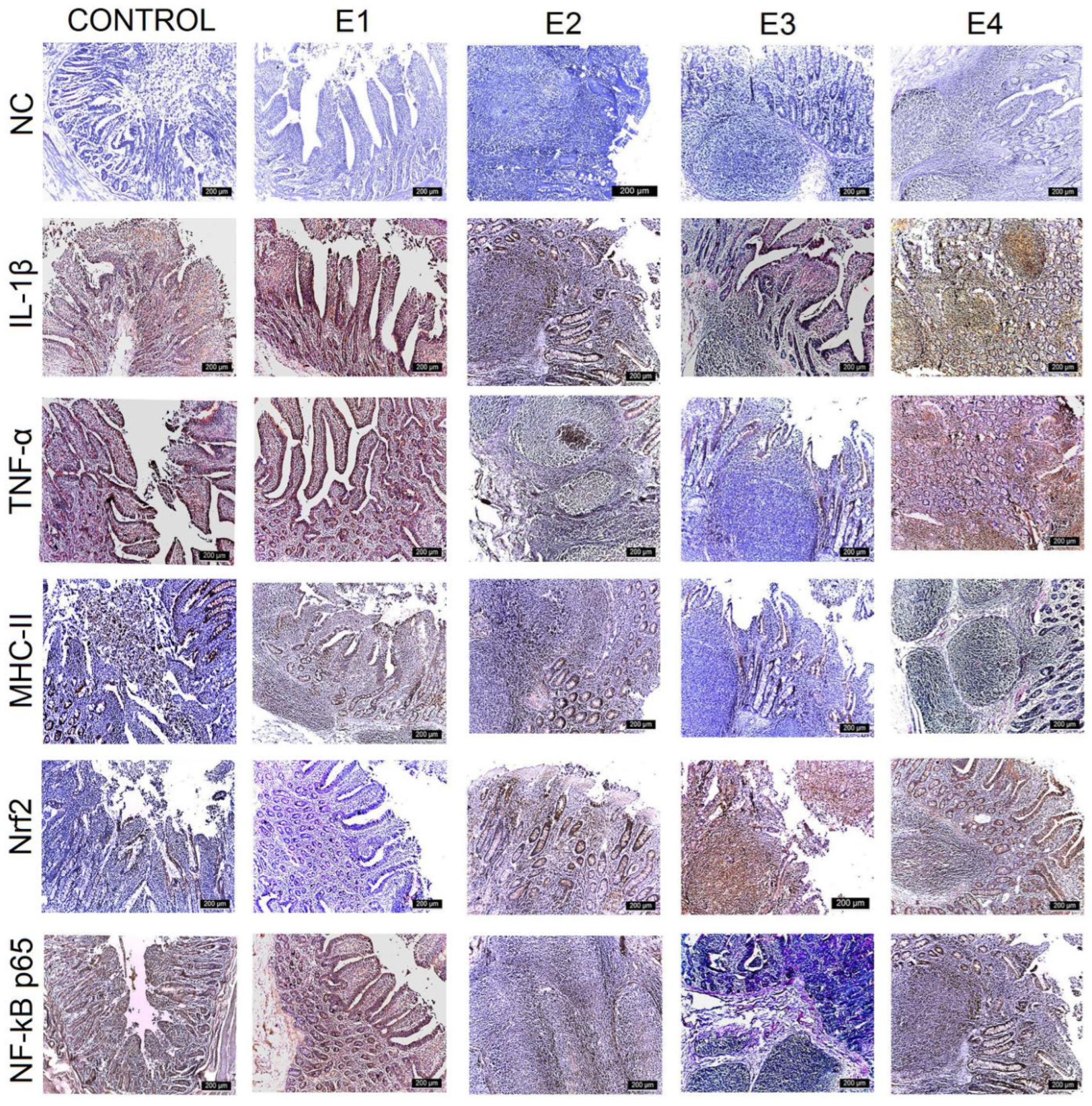 Agriculture 15 00740 g004