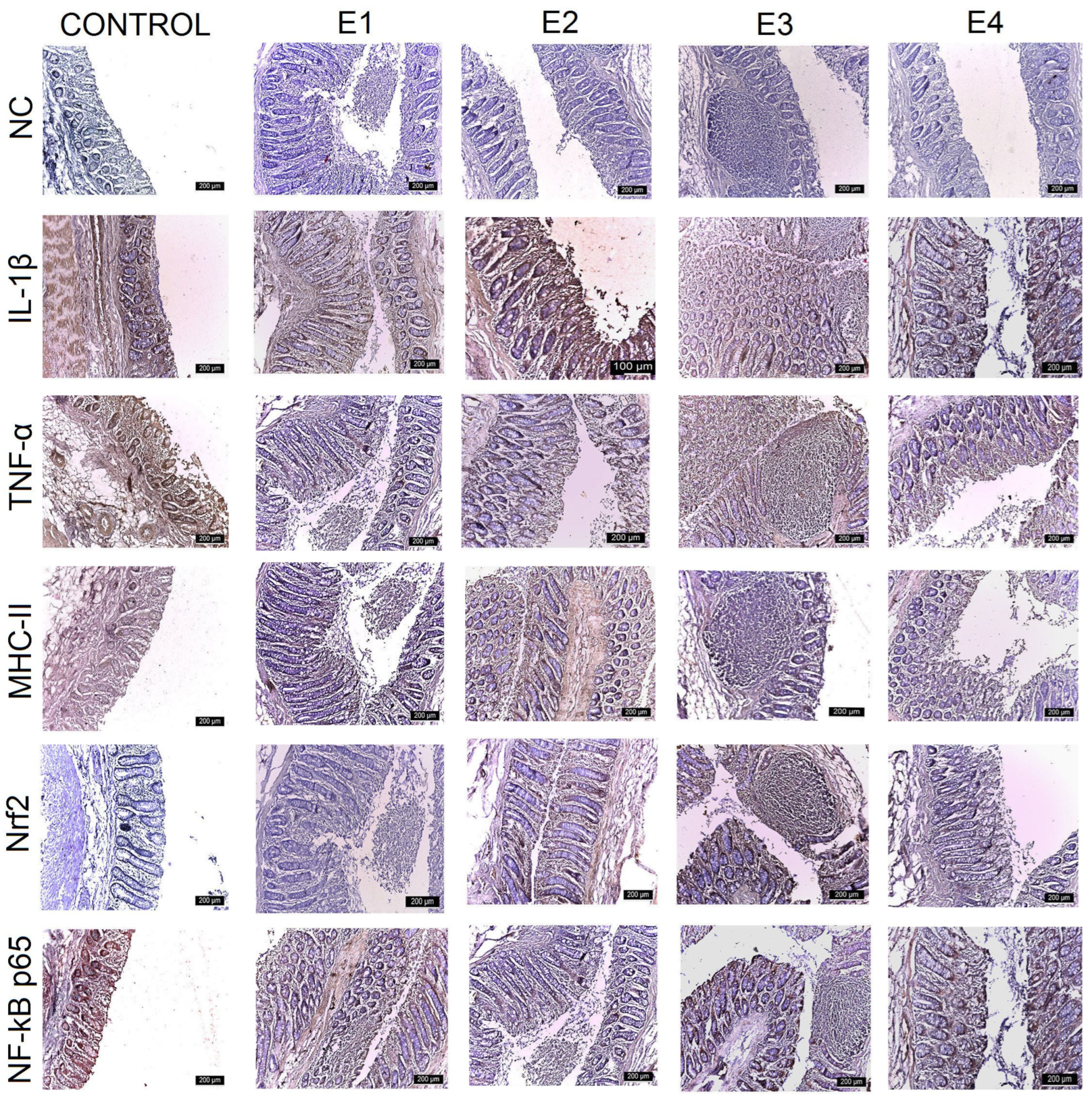 Agriculture 15 00740 g005