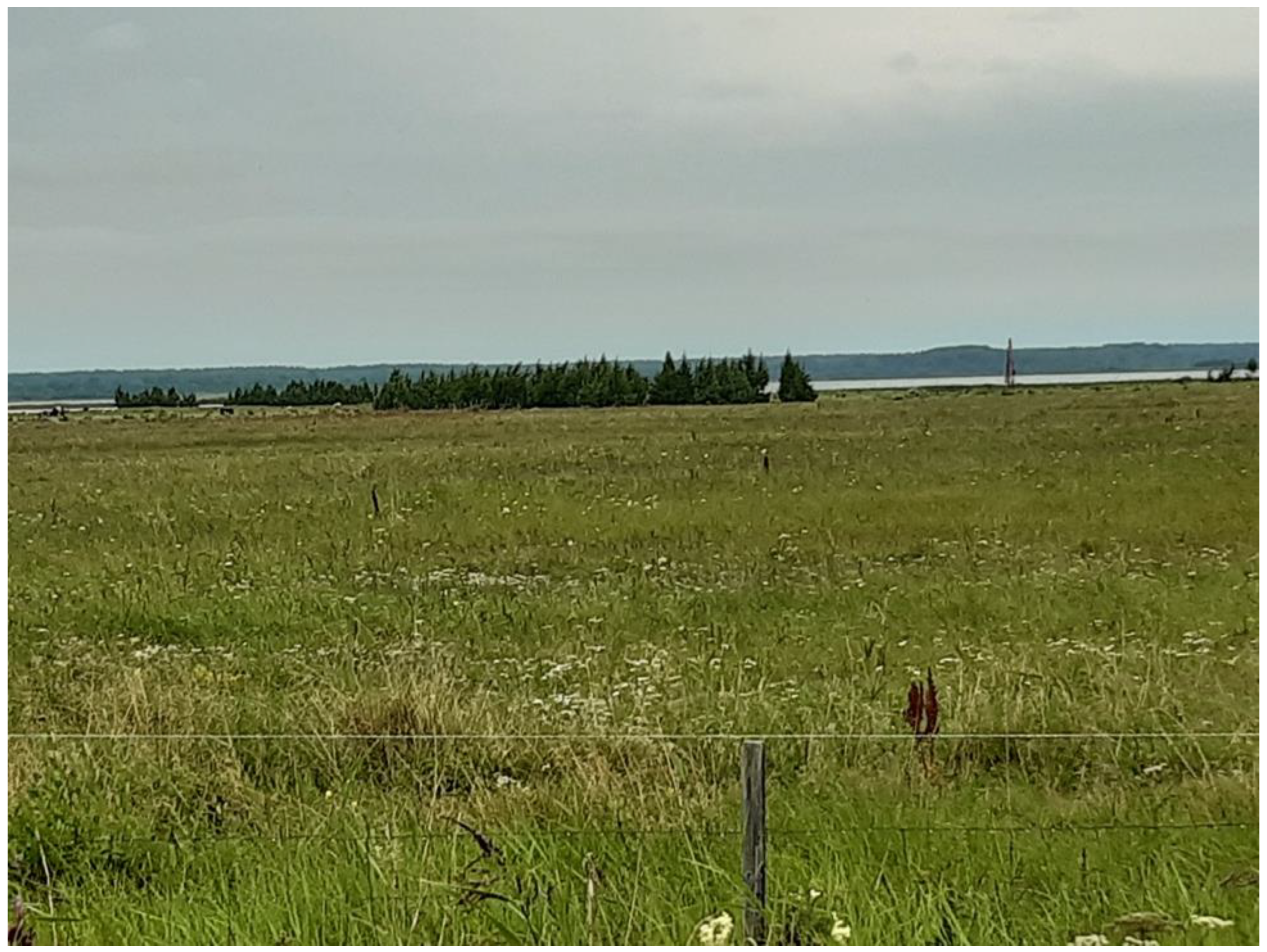 Agriculture 15 00741 g002