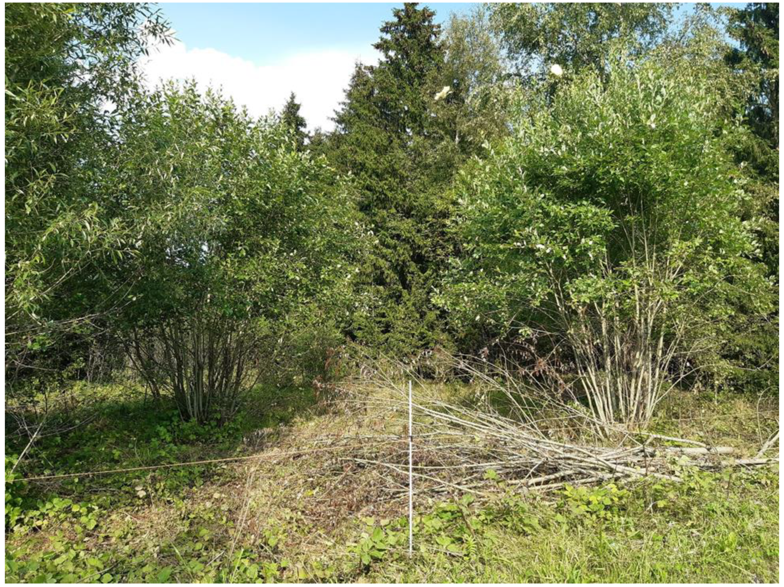 Agriculture 15 00741 g006