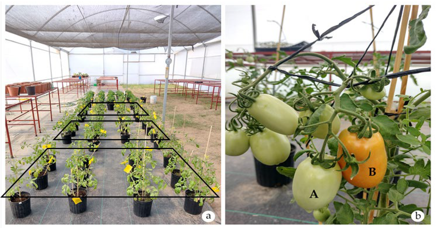 Agriculture 15 00750 g001