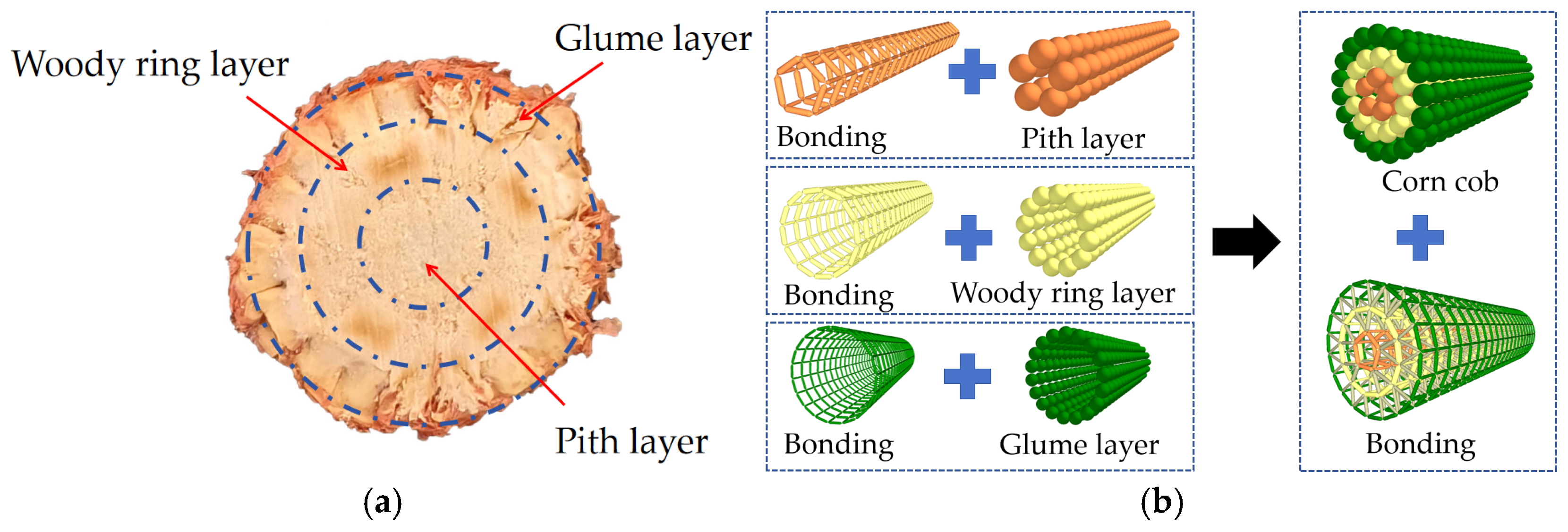 Agriculture 15 00752 g002
