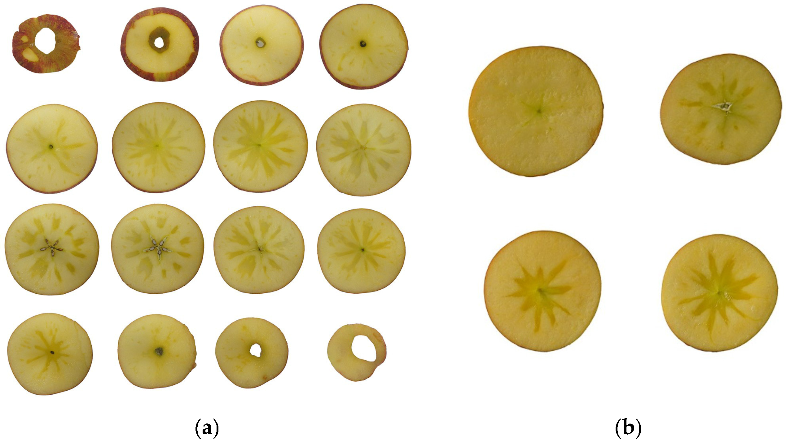 Agriculture 15 00756 g003